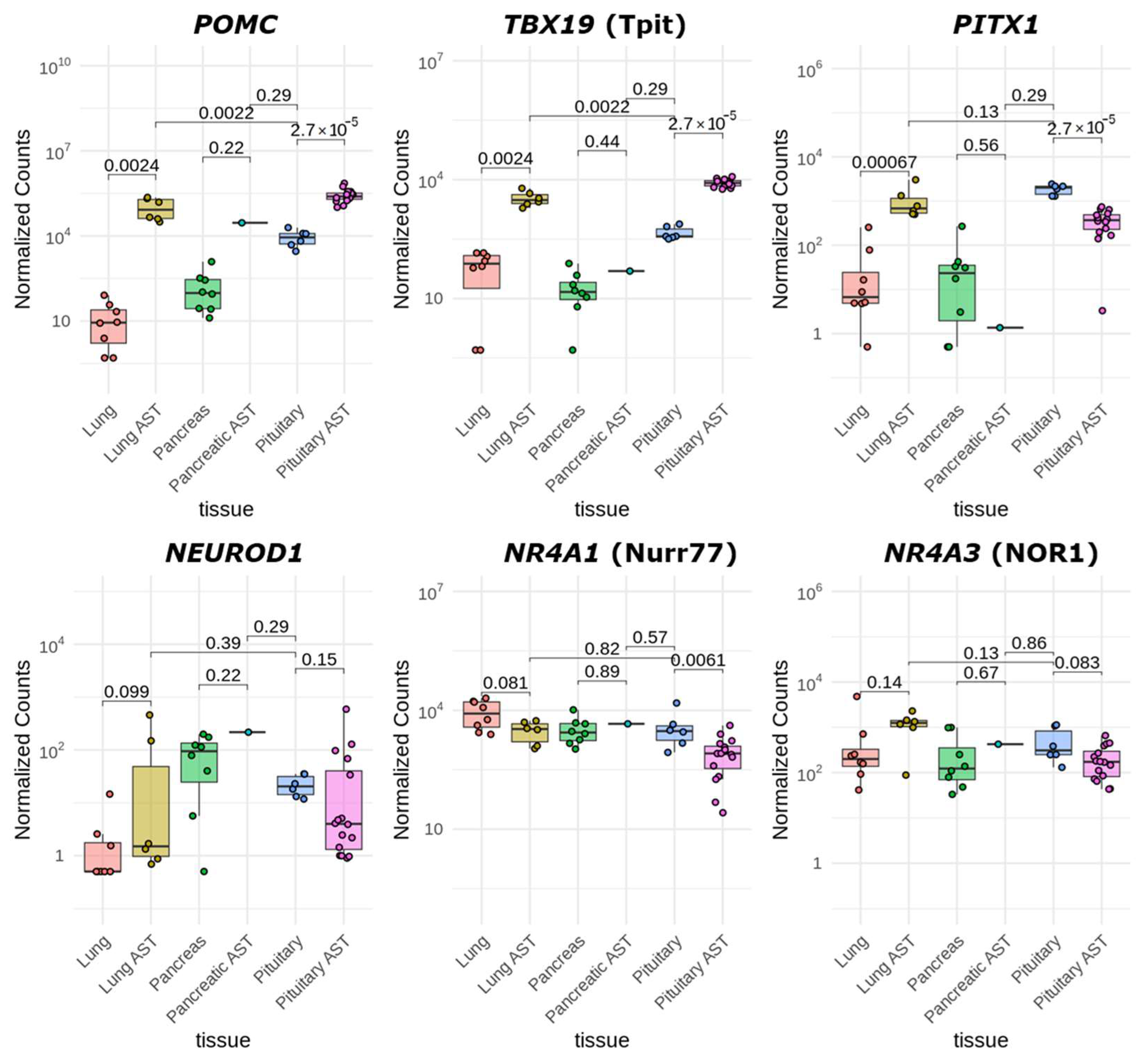 Cancers 17 00658 g006