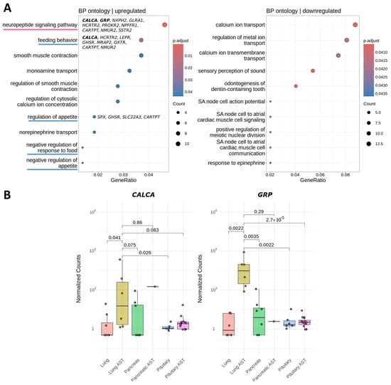 Cancers 17 00658 g007