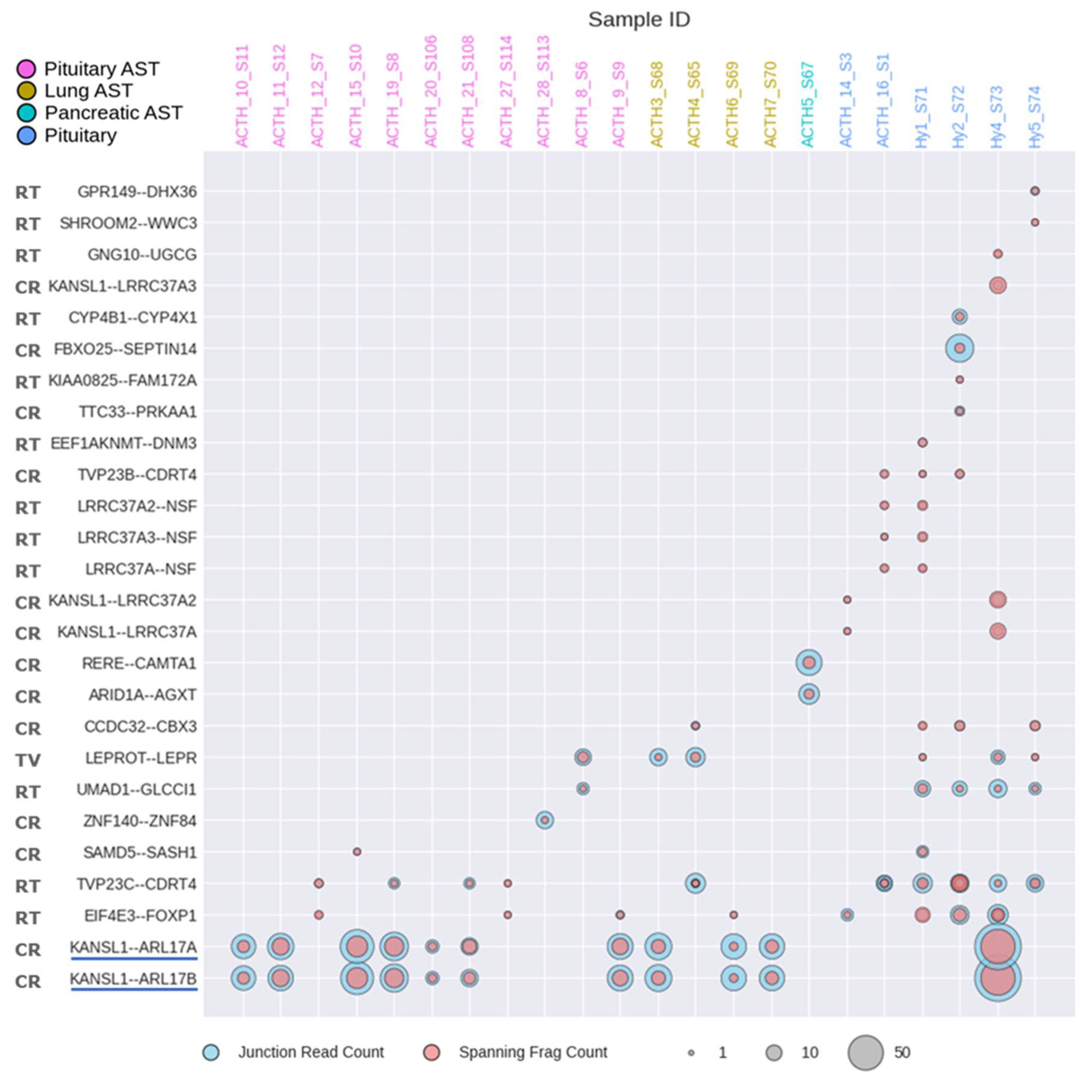 Cancers 17 00658 g008