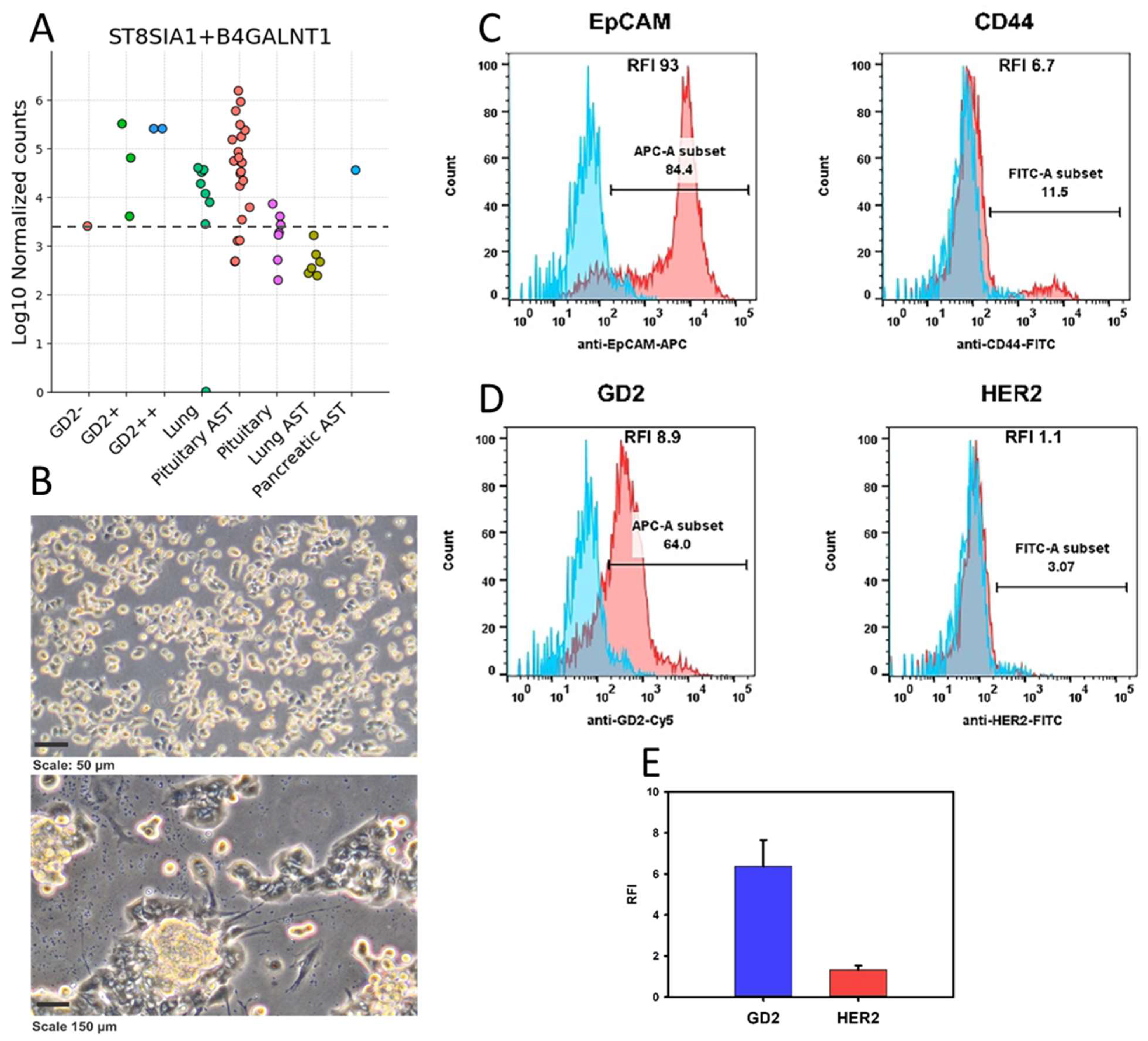 Cancers 17 00658 g010