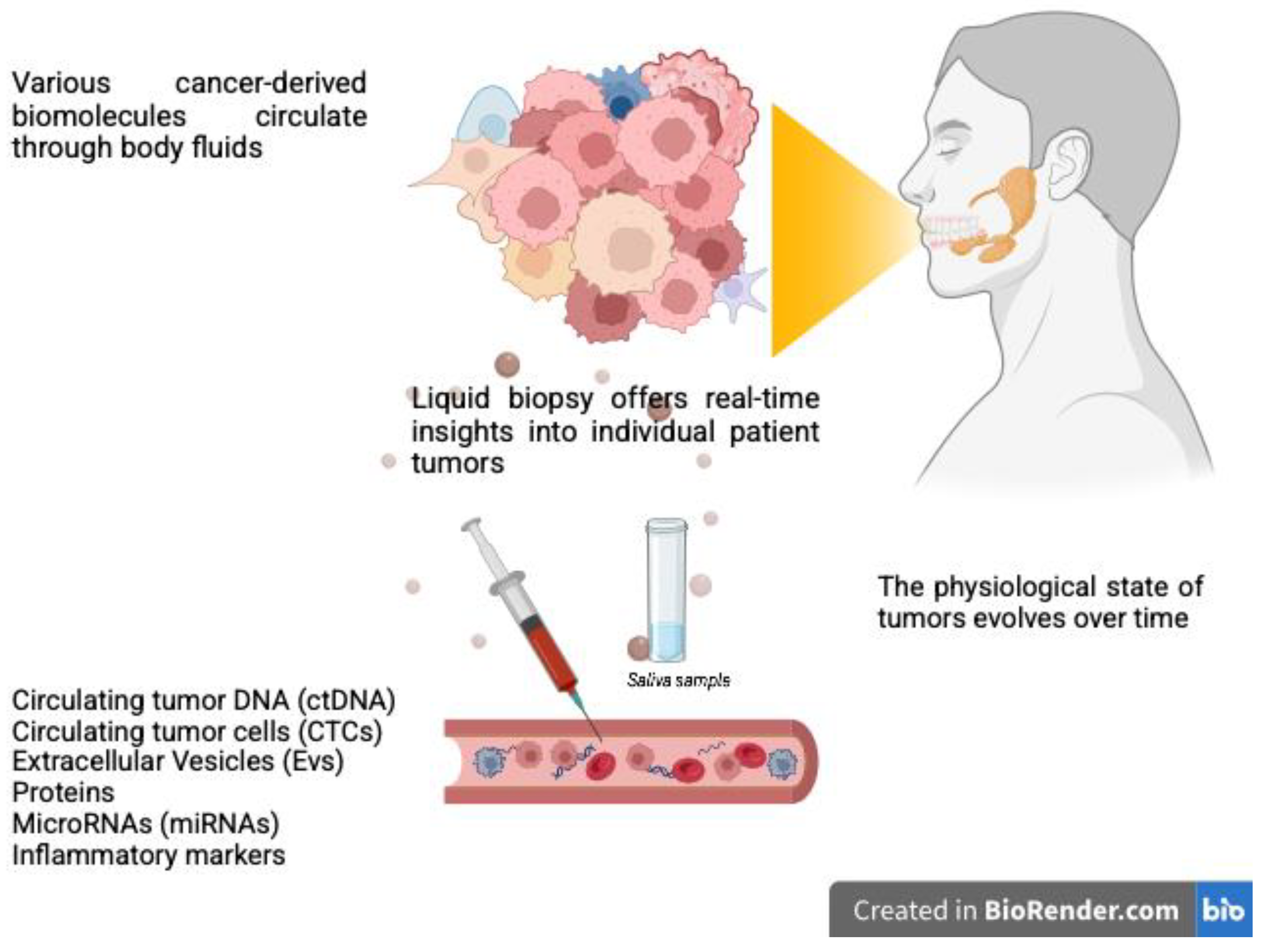 Cancers 17 00660 g003