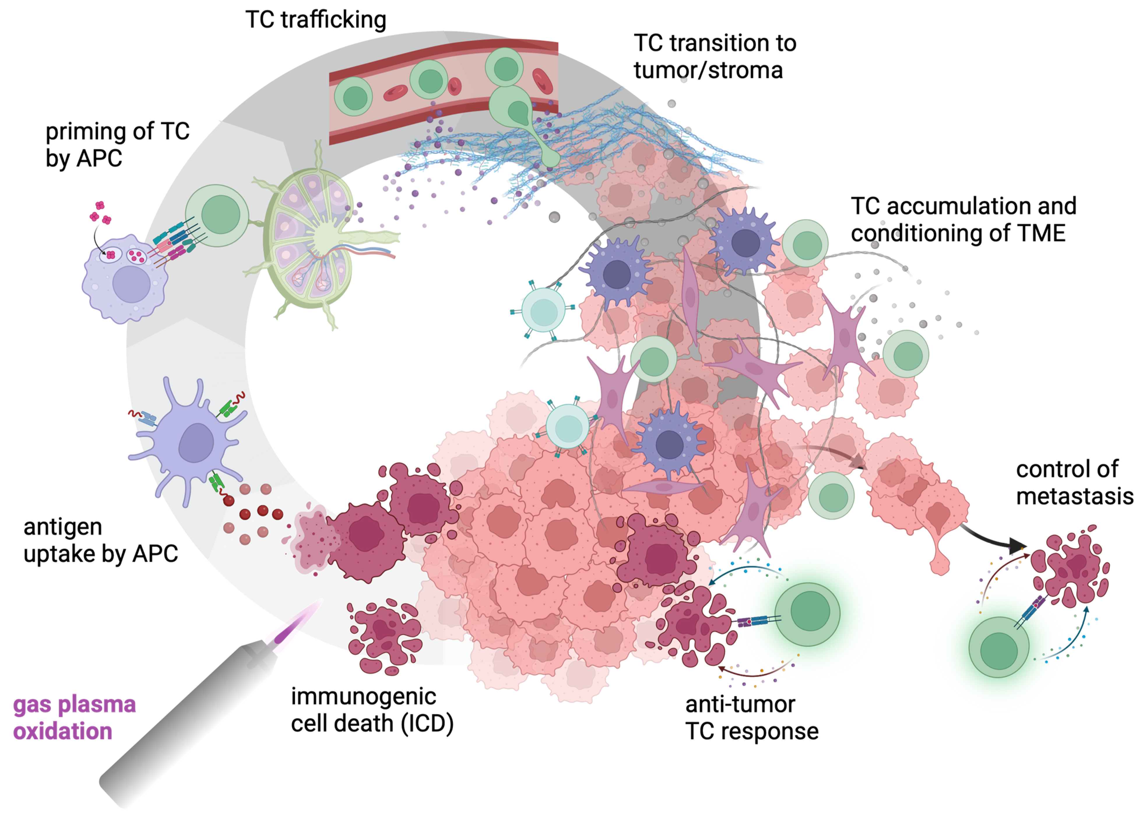 Cancers 17 00681 g003