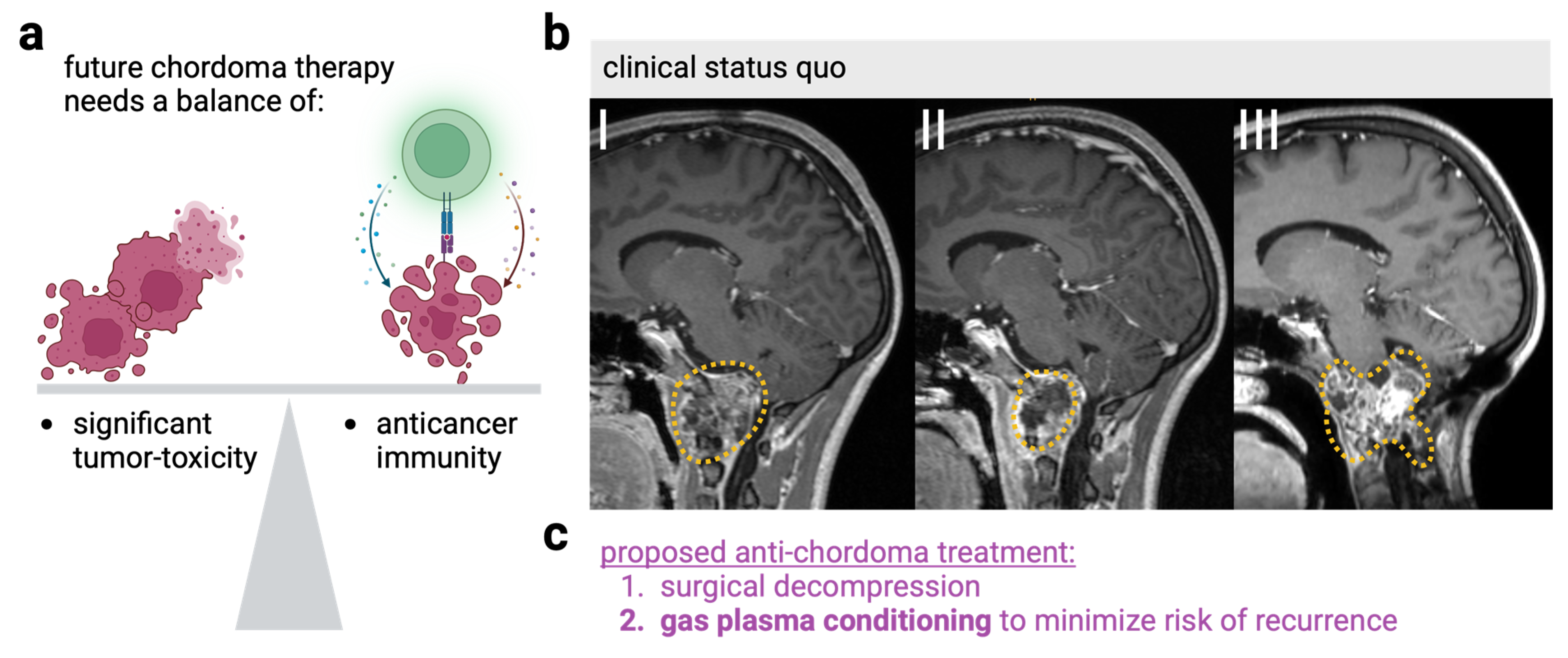 Cancers 17 00681 g004
