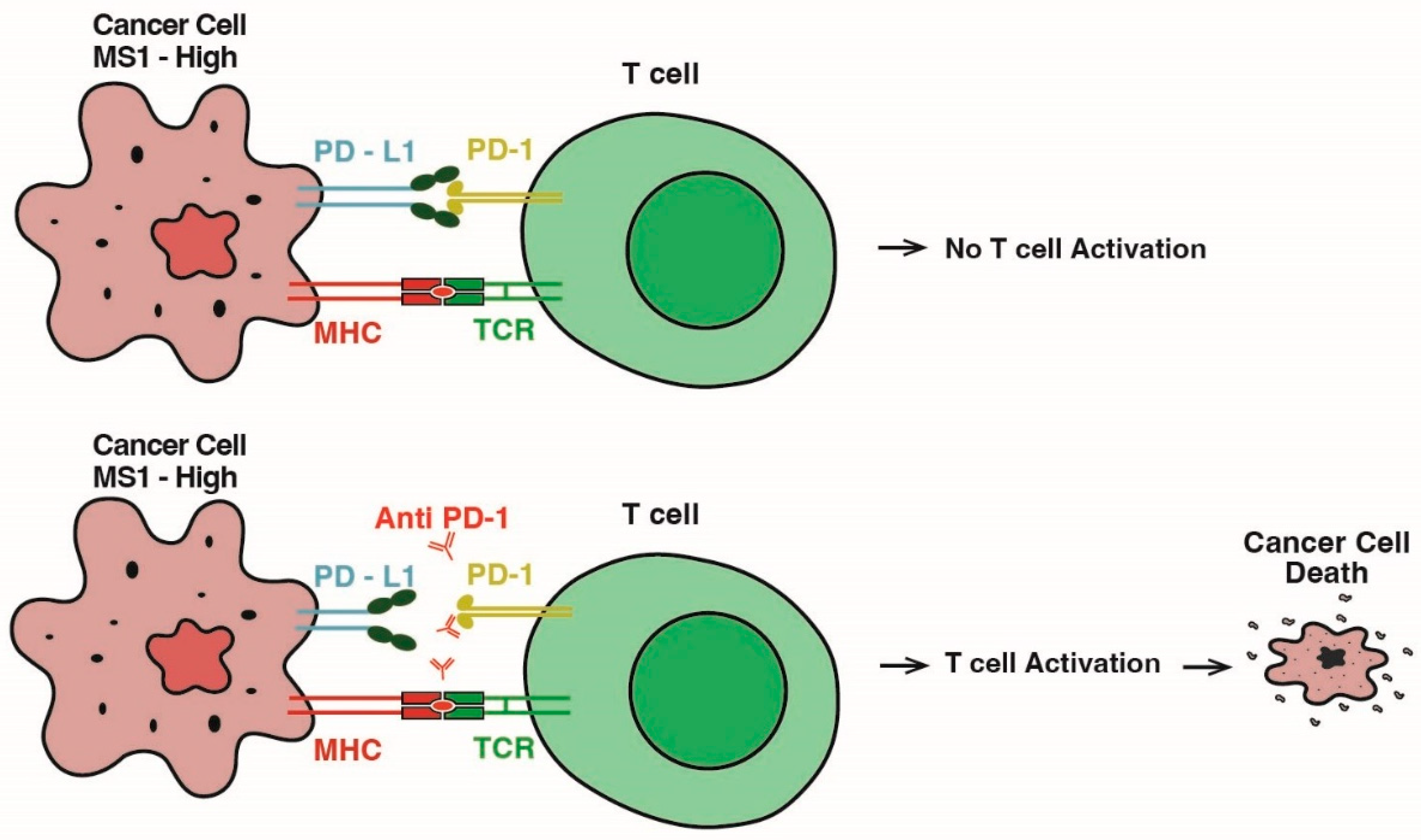 Cancers 17 00682 g004 Cancers 17 00682 g004