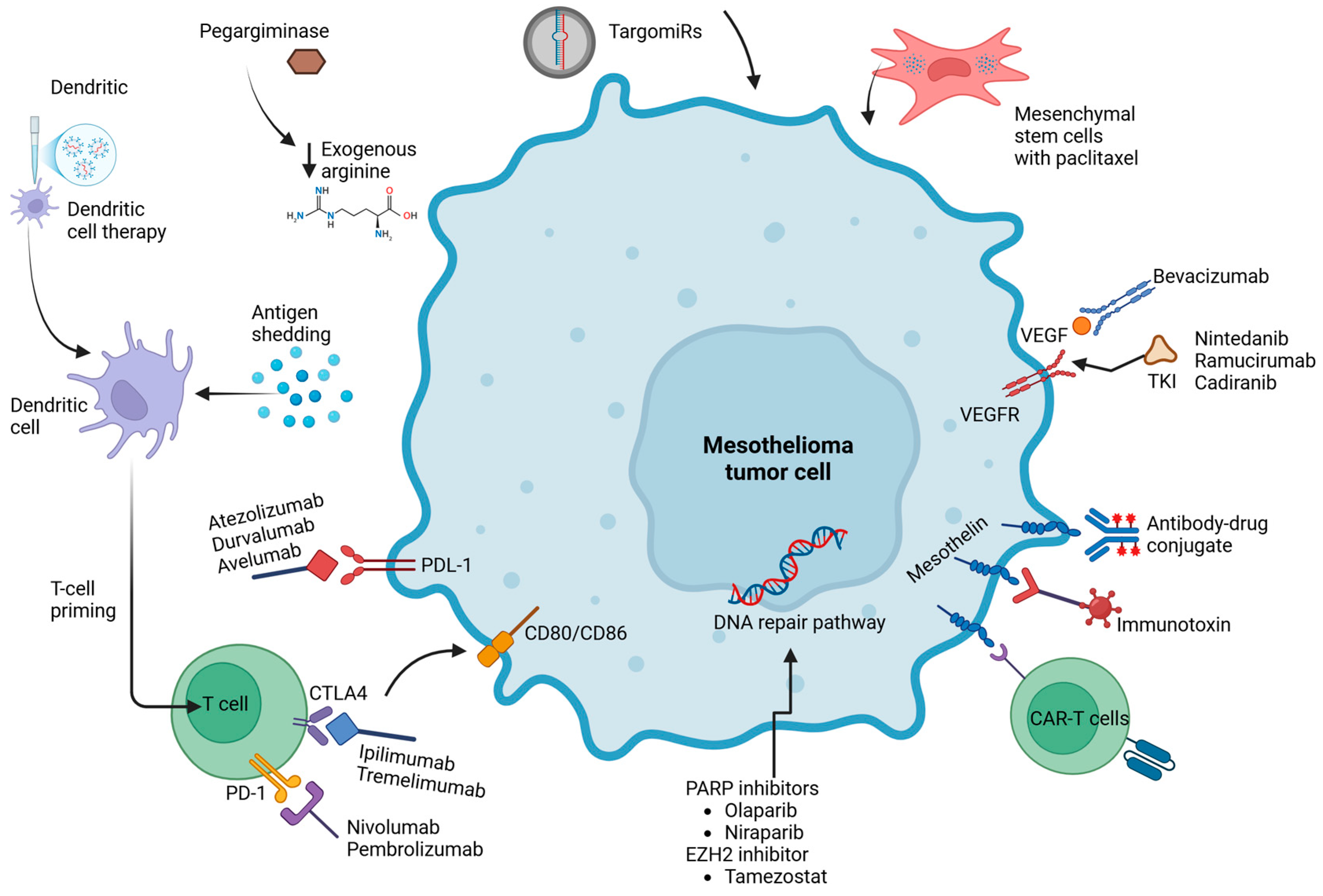 Cancers 17 00694 g001
