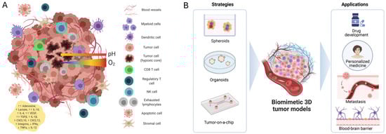 Cancers 17 00700 g003