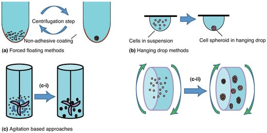 Cancers 17 00700 g004