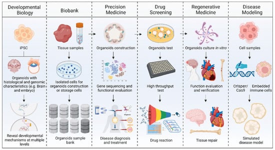 Cancers 17 00700 g005