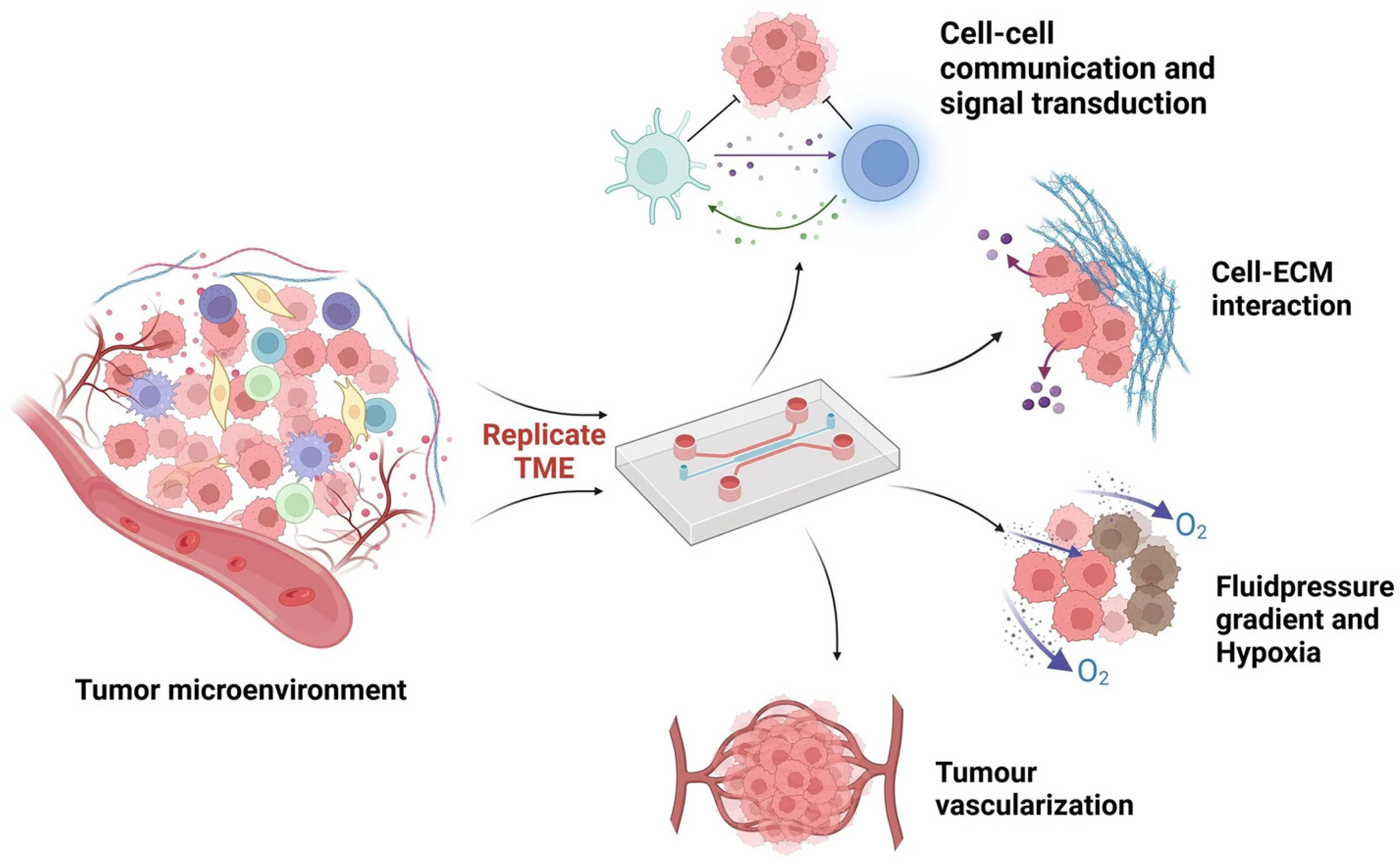 Cancers 17 00700 g006