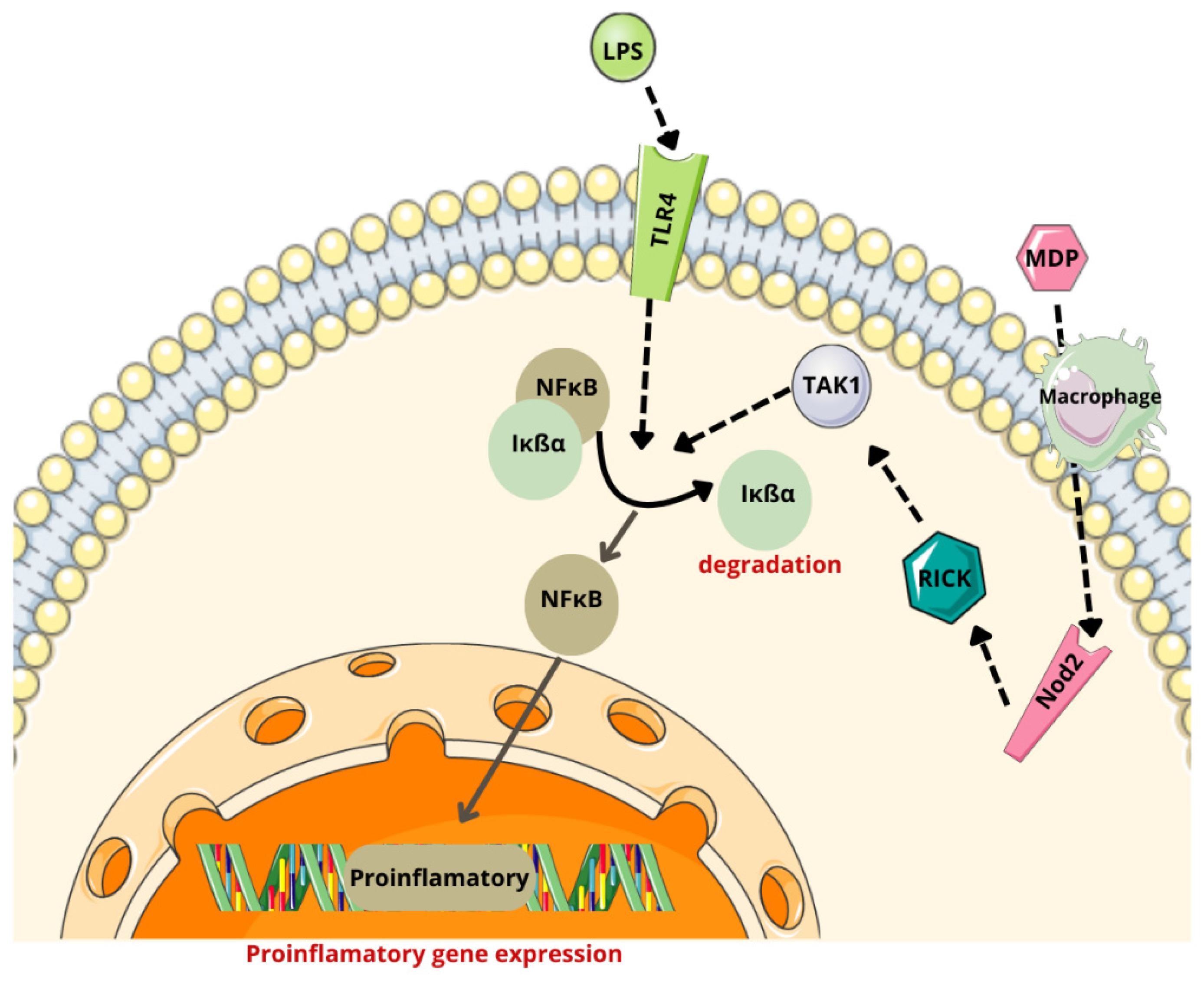Cancers 17 00719 g002