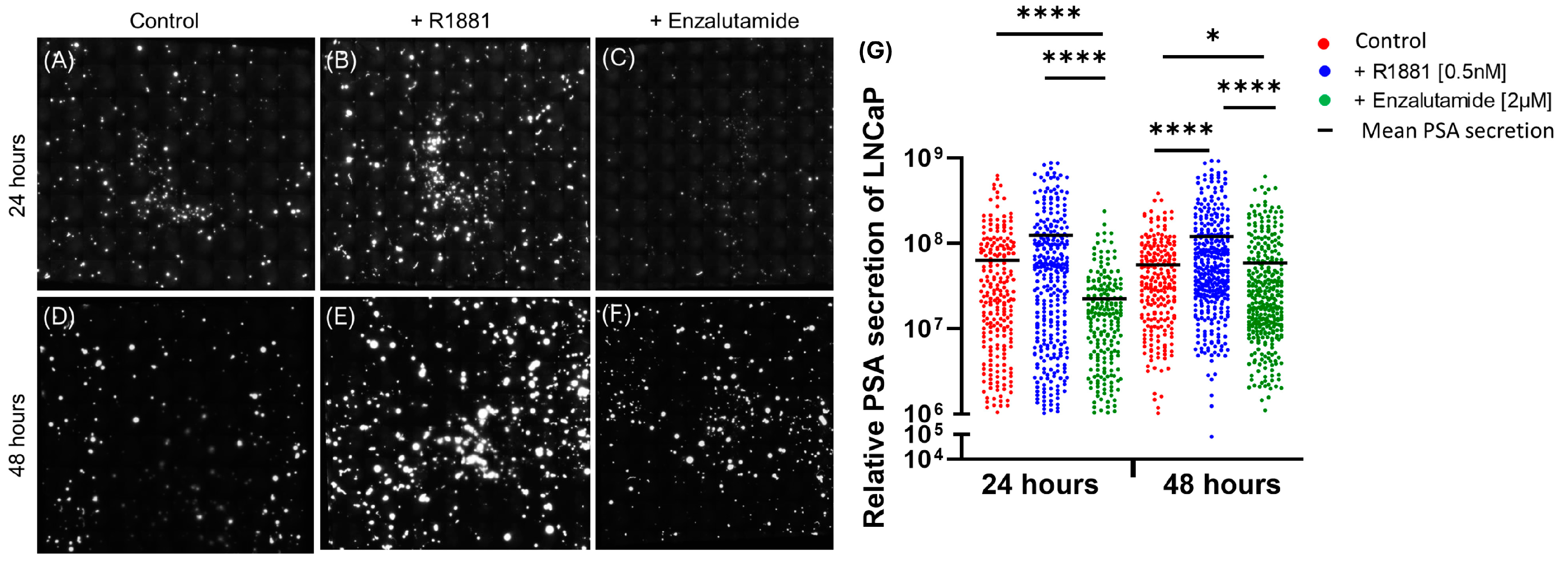 Cancers 17 00721 g002 Cancers 17 00721 g002