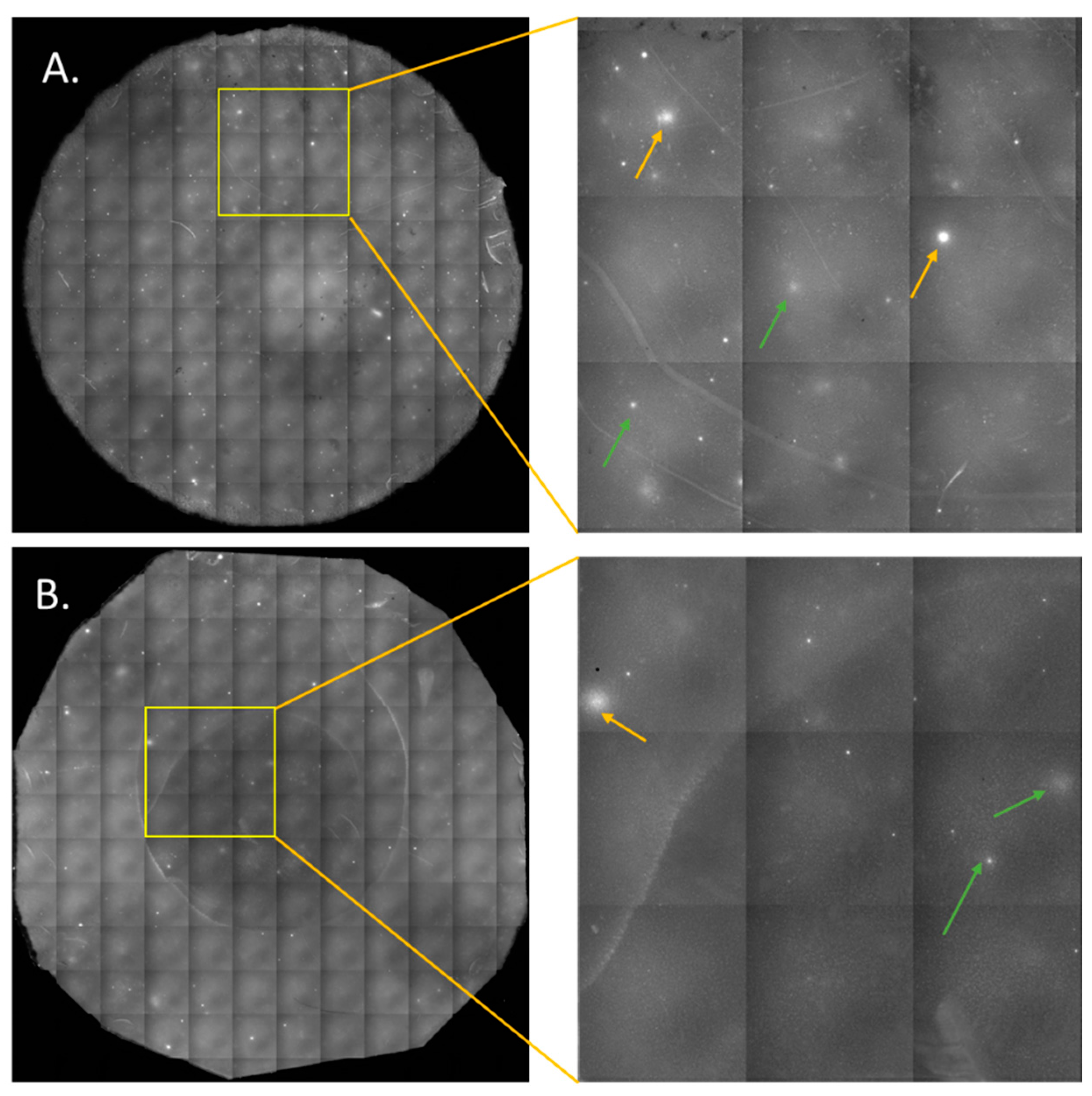 Cancers 17 00721 g004 Cancers 17 00721 g004