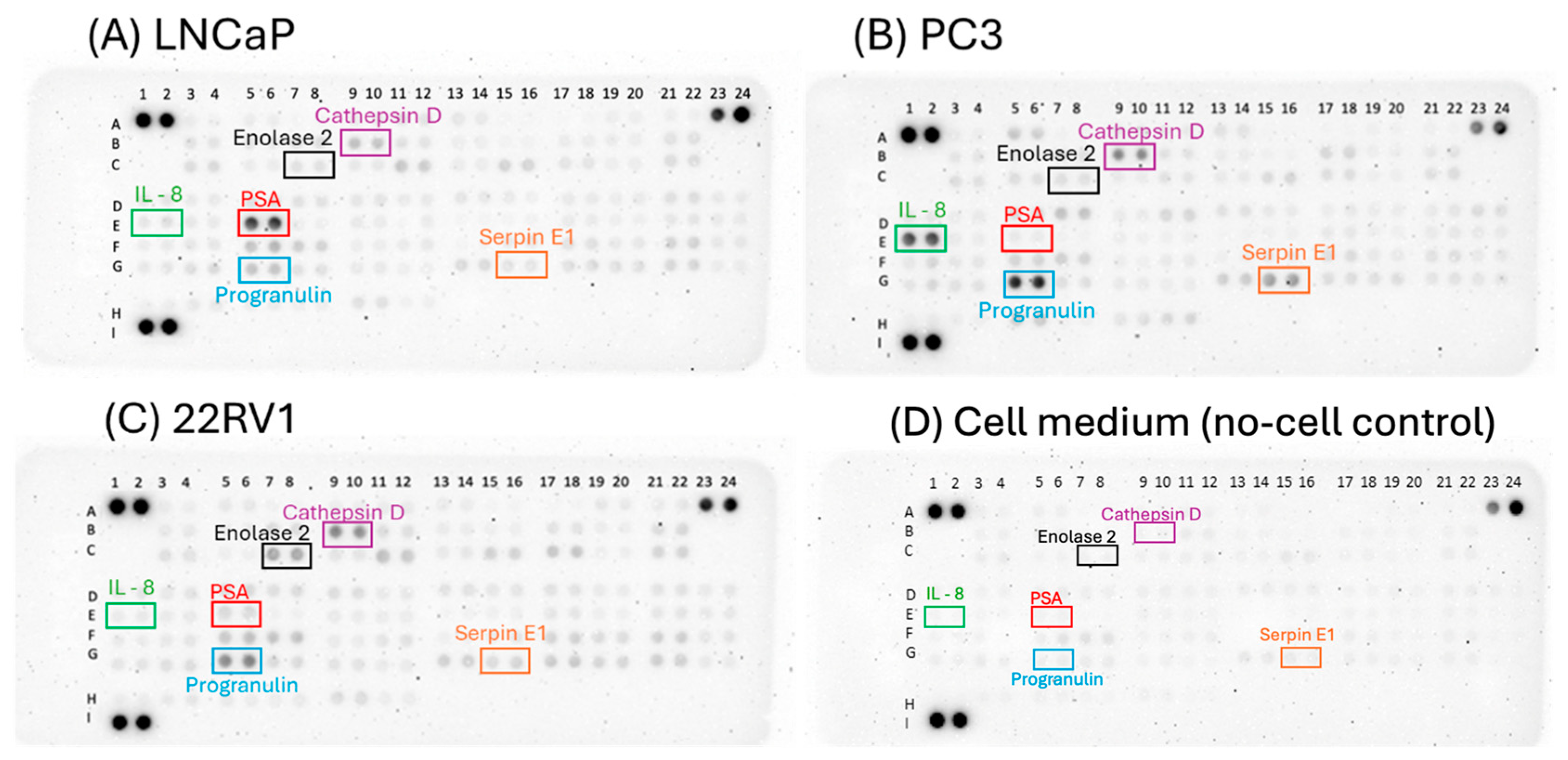 Cancers 17 00721 g008 Cancers 17 00721 g008