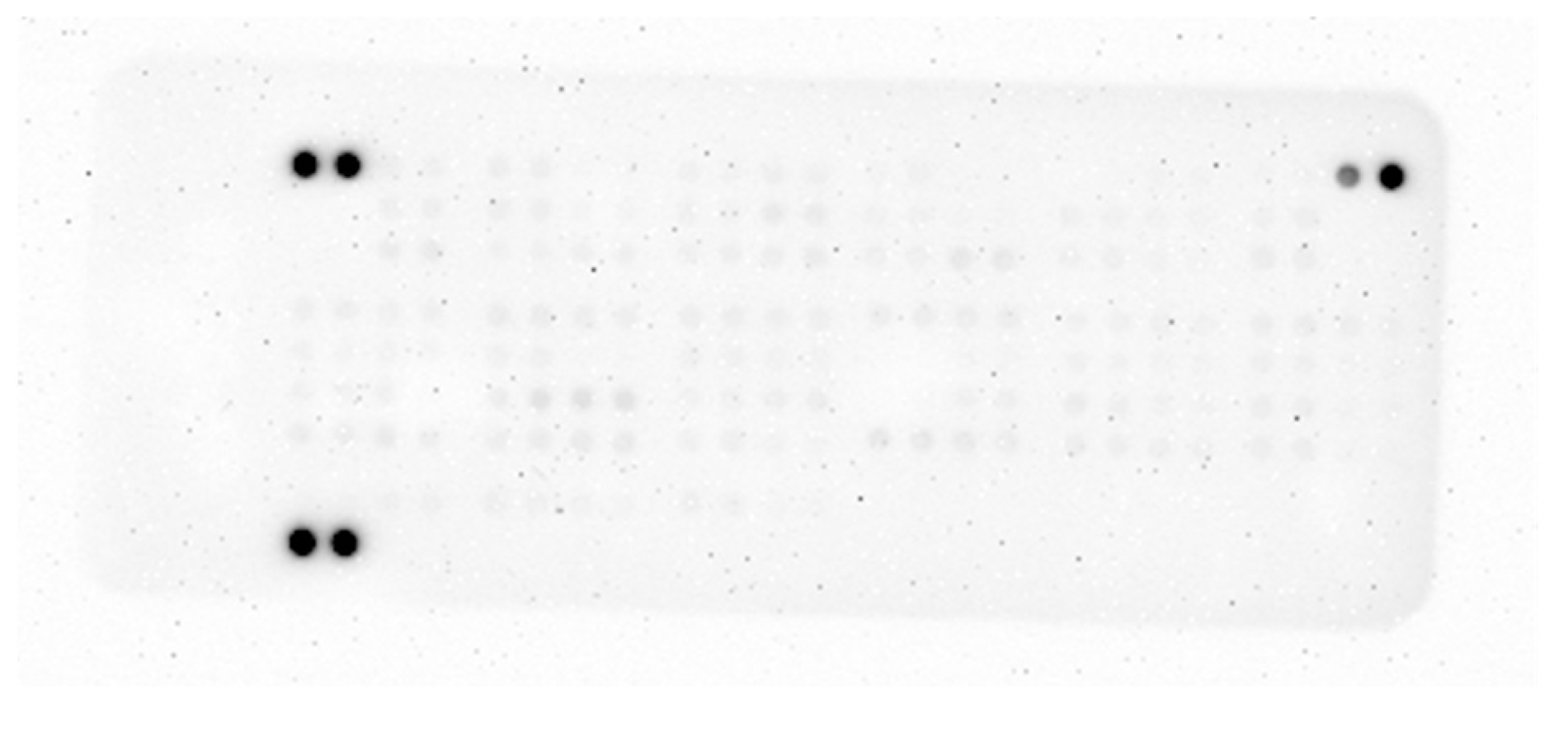 Cancers 17 00721 g0a1 Cancers 17 00721 g0a1