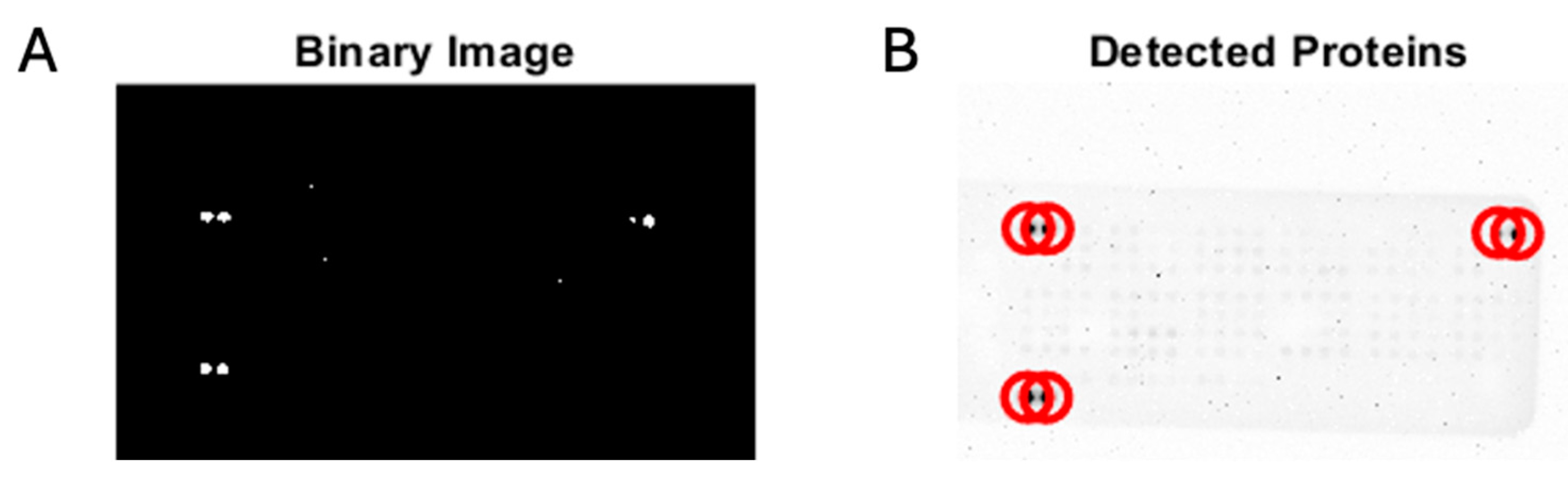 Cancers 17 00721 g0a3 Cancers 17 00721 g0a3