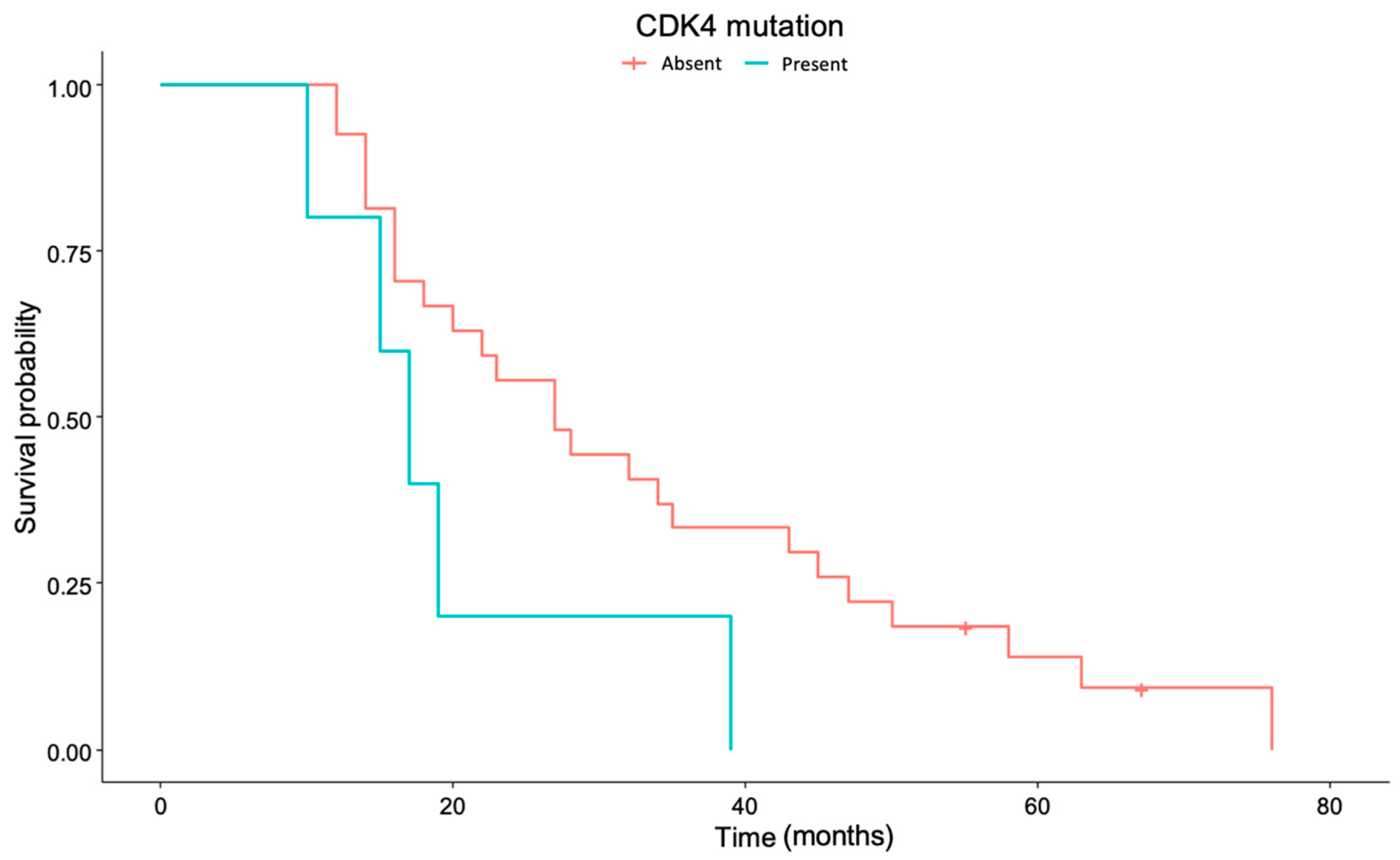 Cancers 17 00744 g004