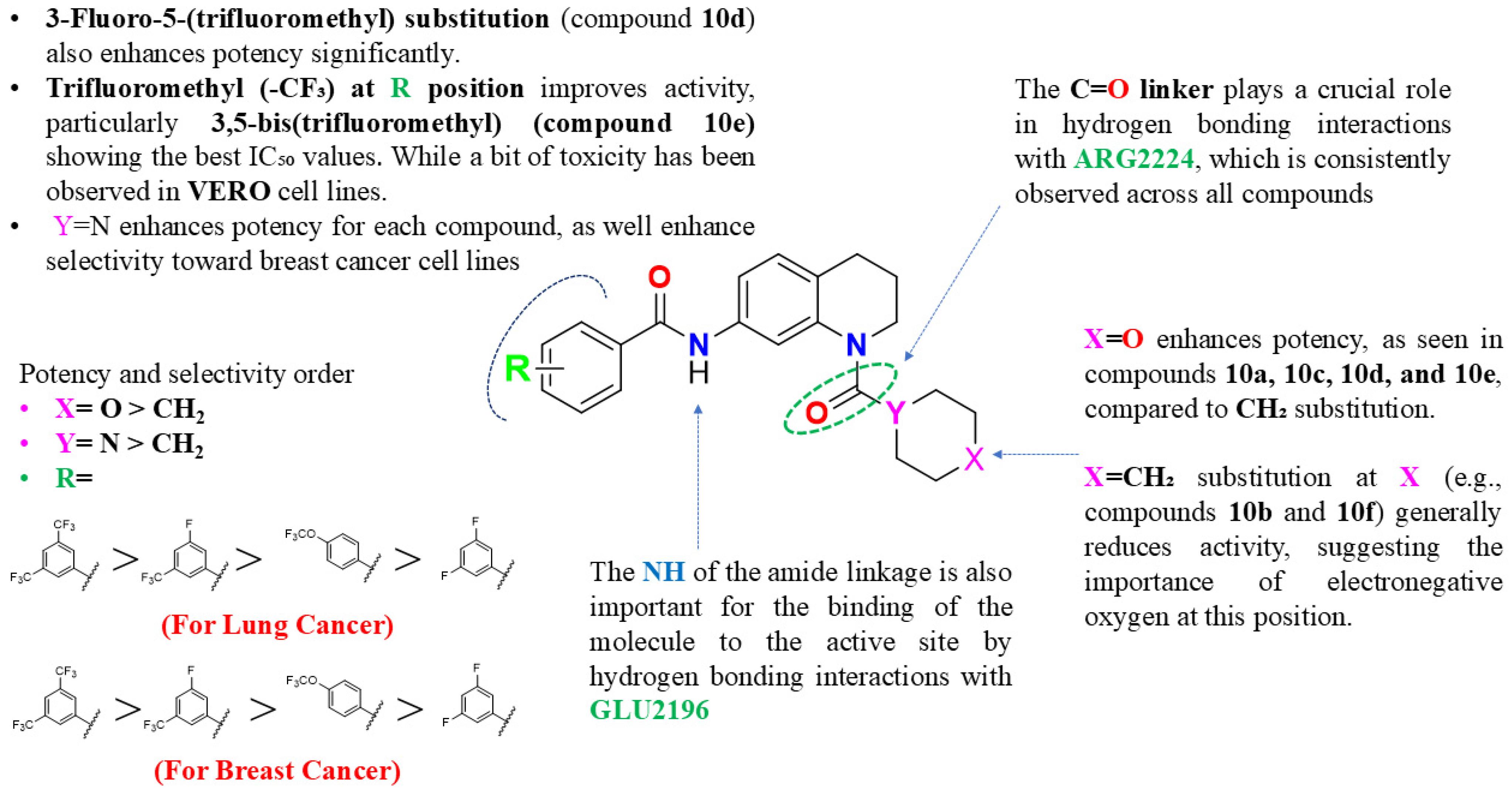 Cancers 17 00759 g003