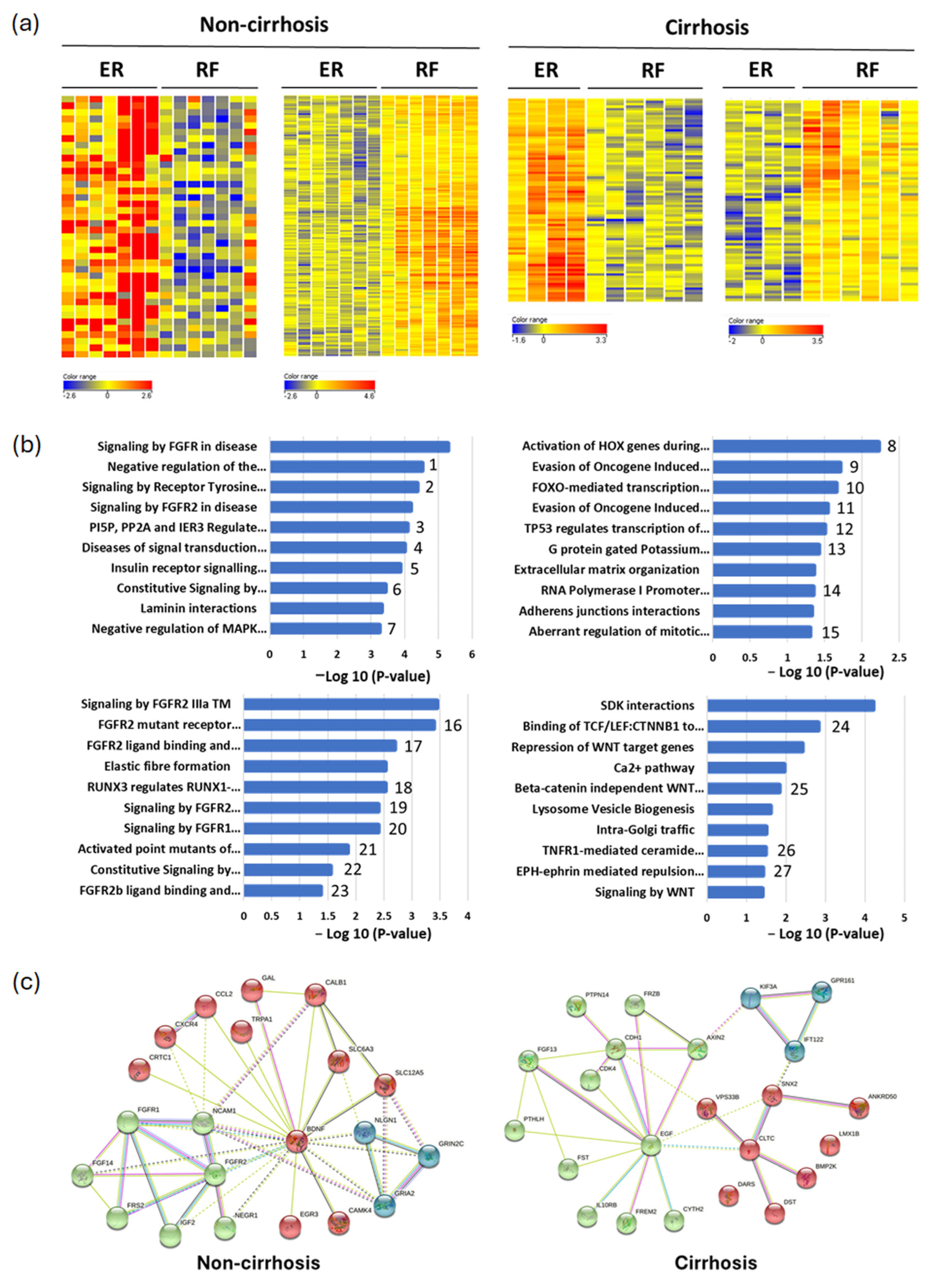 Cancers 17 00769 g001