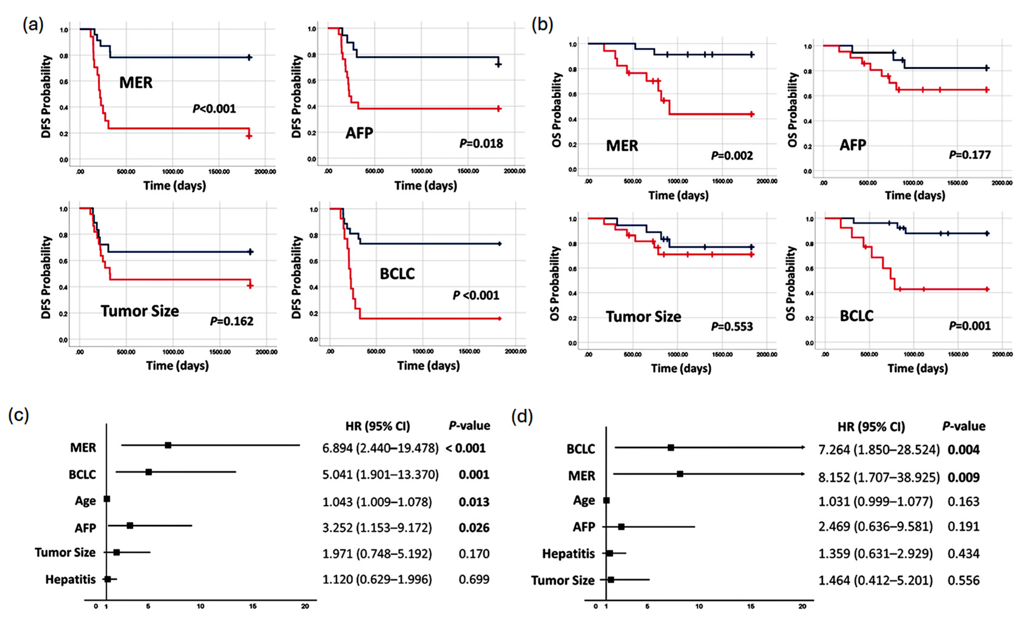 Cancers 17 00769 g005