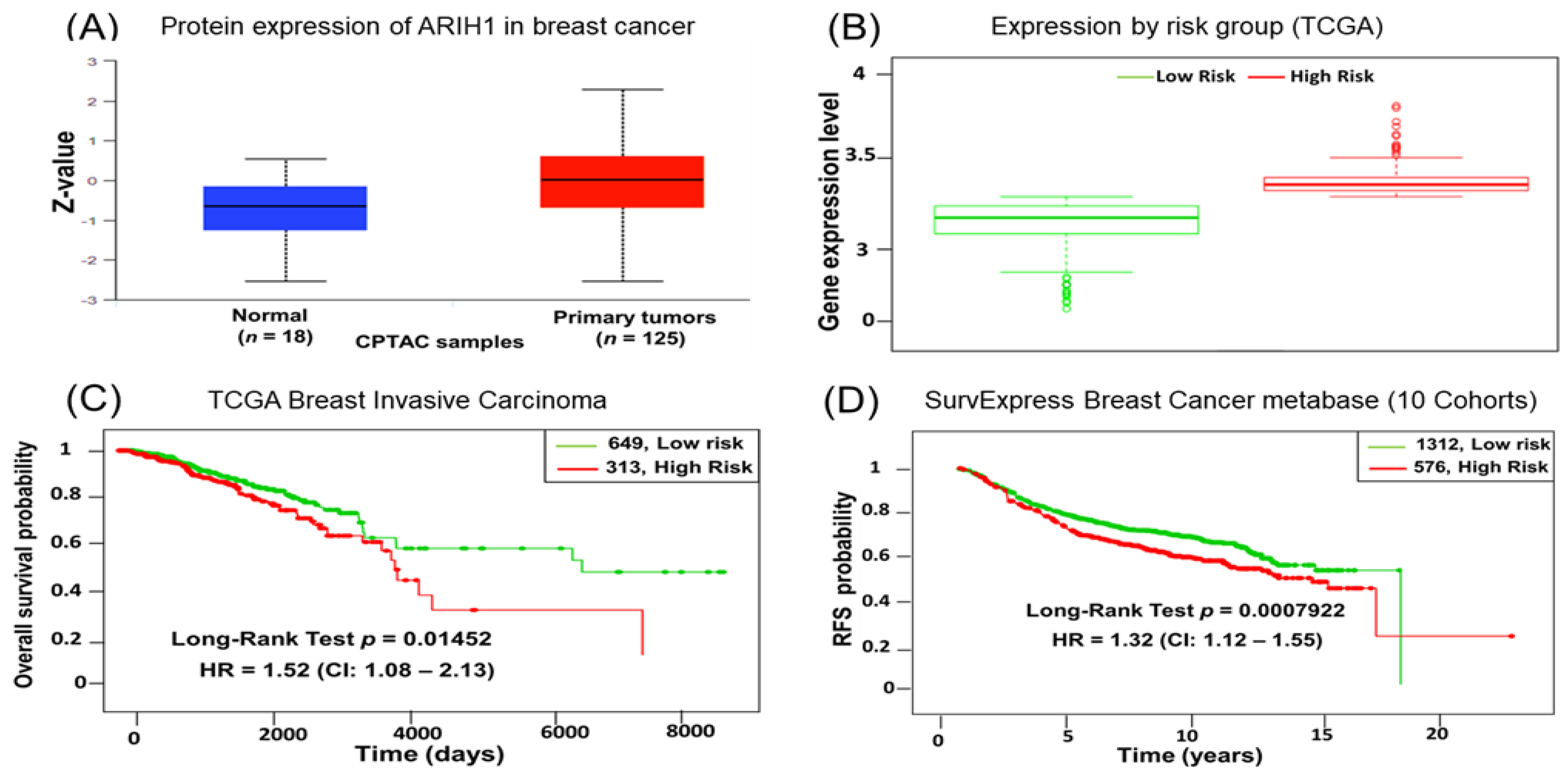 Cancers 17 00782 g001