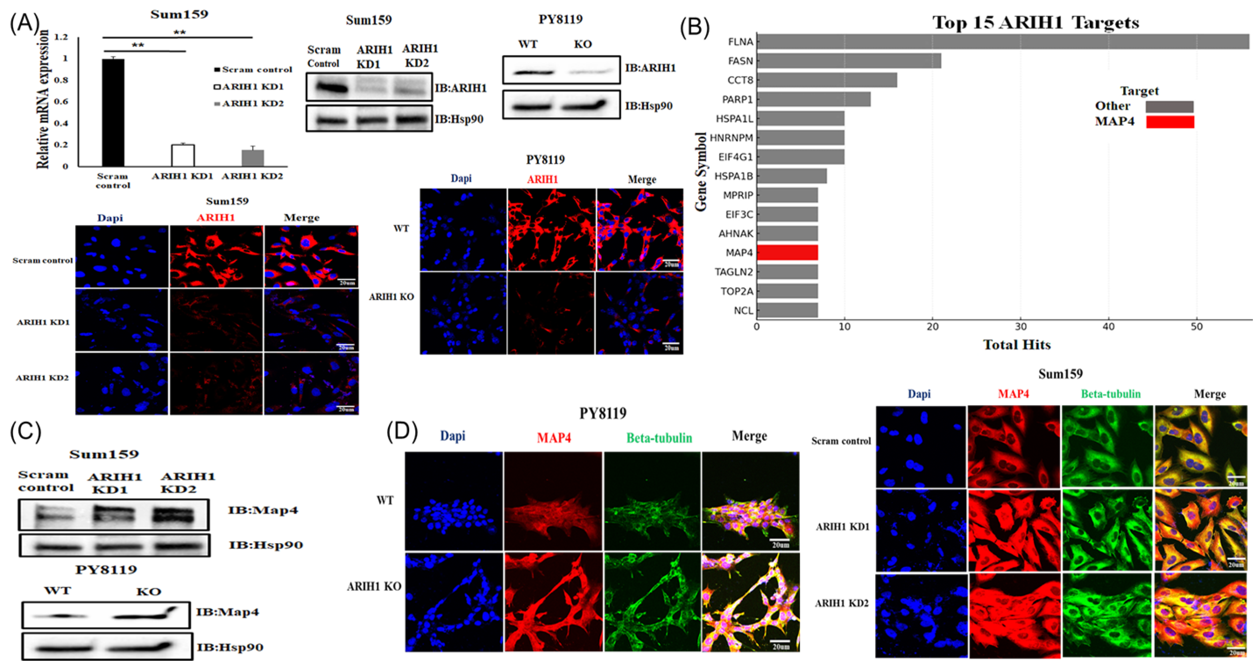 Cancers 17 00782 g002