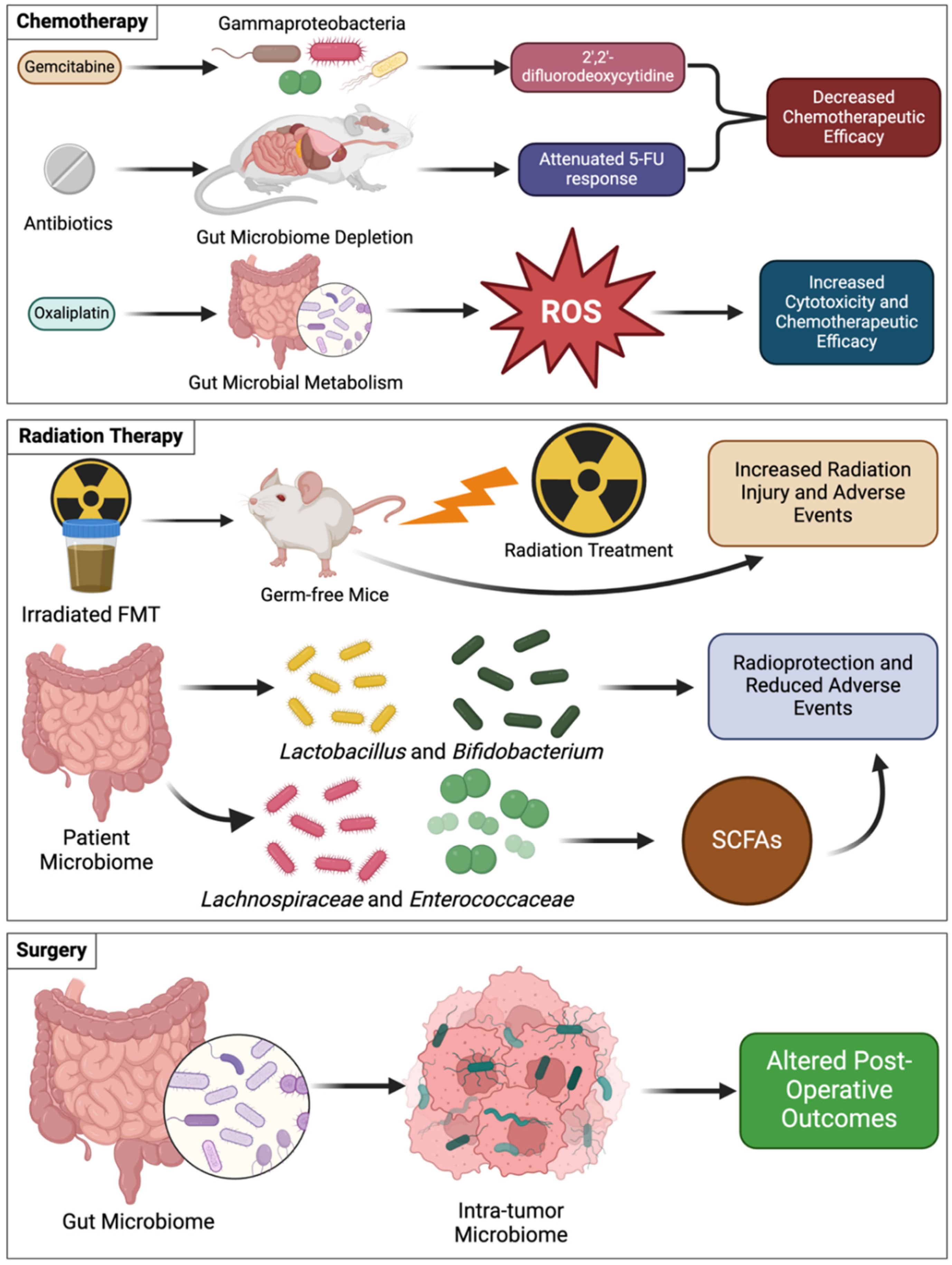 Cancers 17 00813 g003
