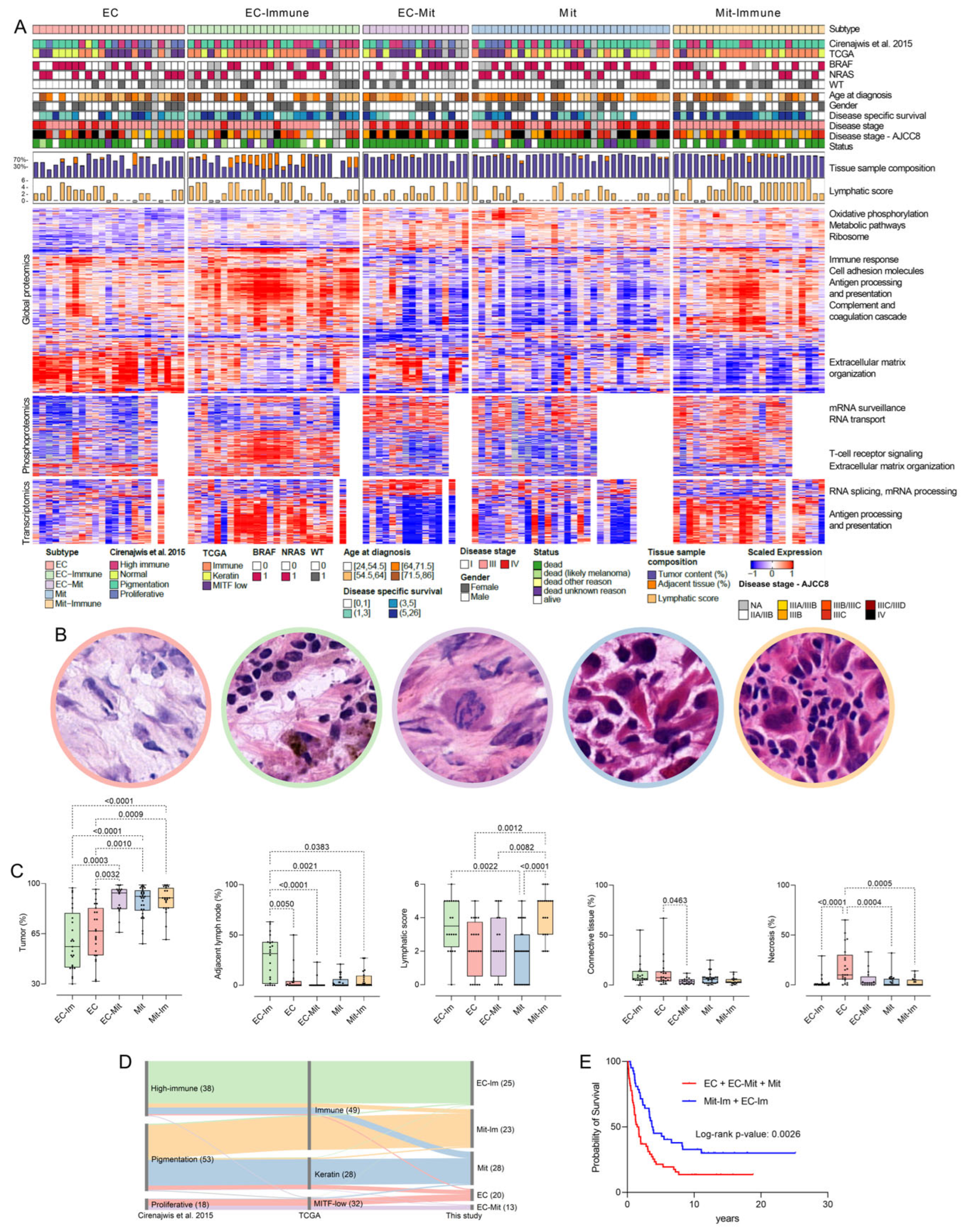 Cancers 17 00832 g001