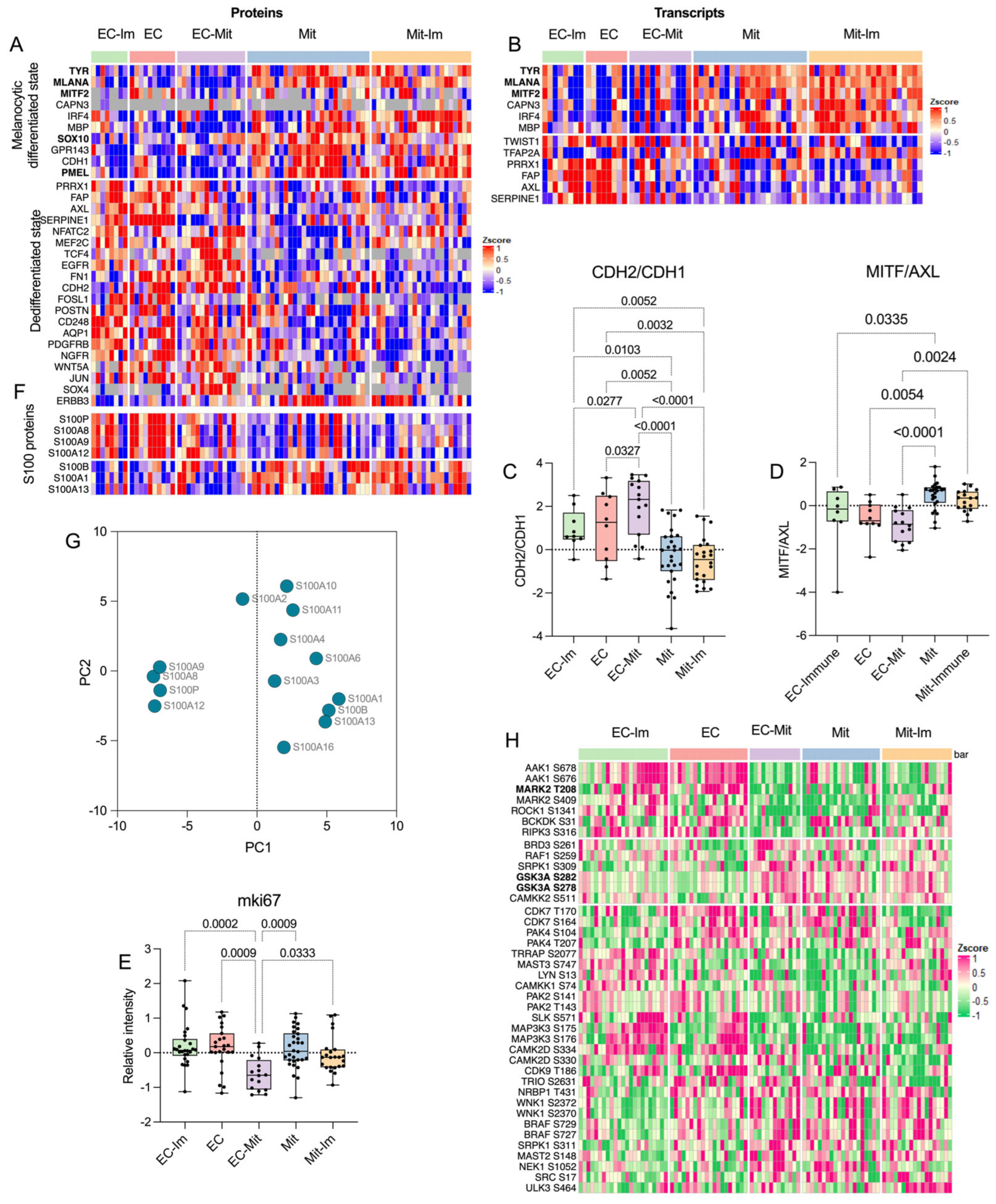 Cancers 17 00832 g002
