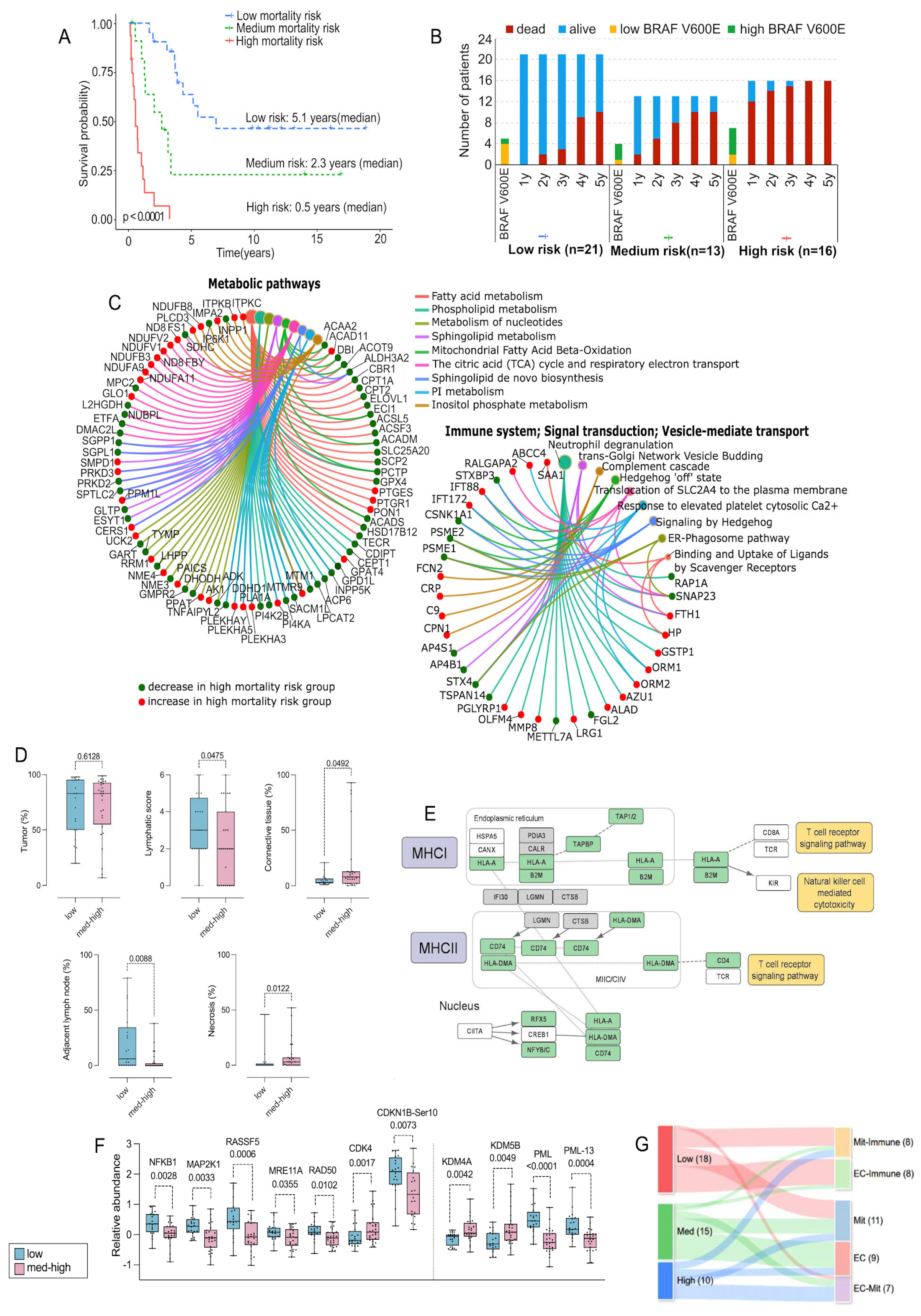 Cancers 17 00832 g003