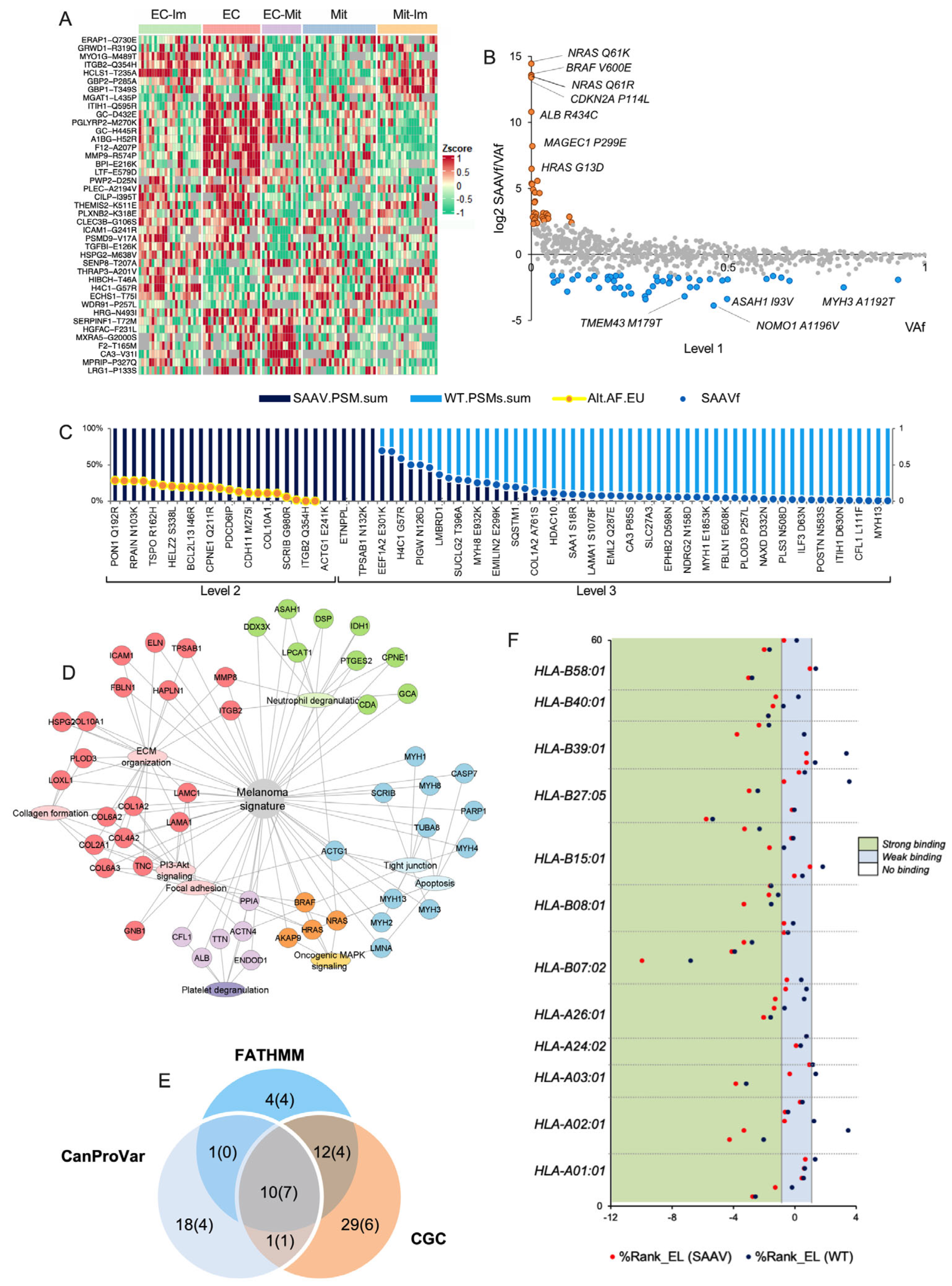 Cancers 17 00832 g004