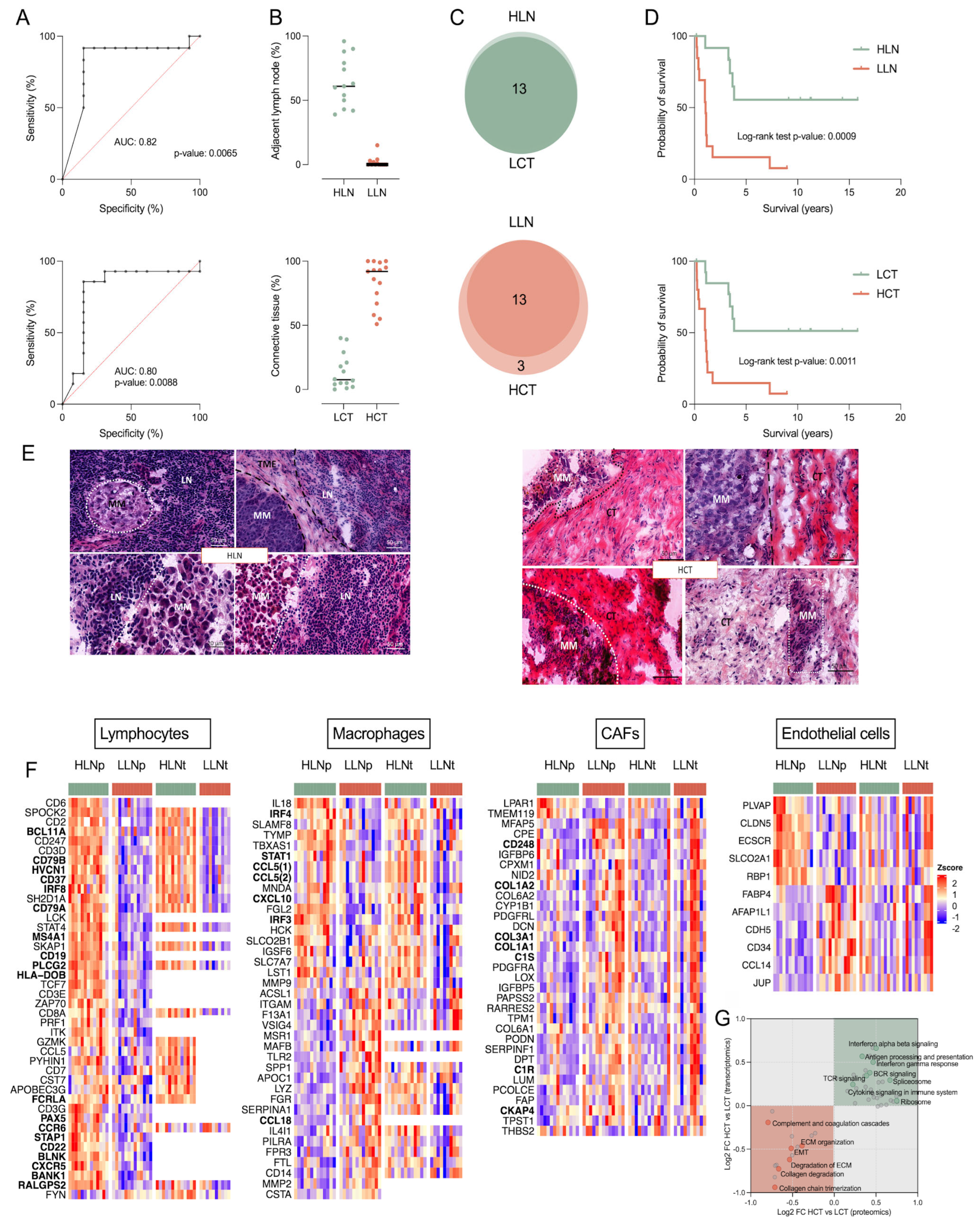 Cancers 17 00832 g005