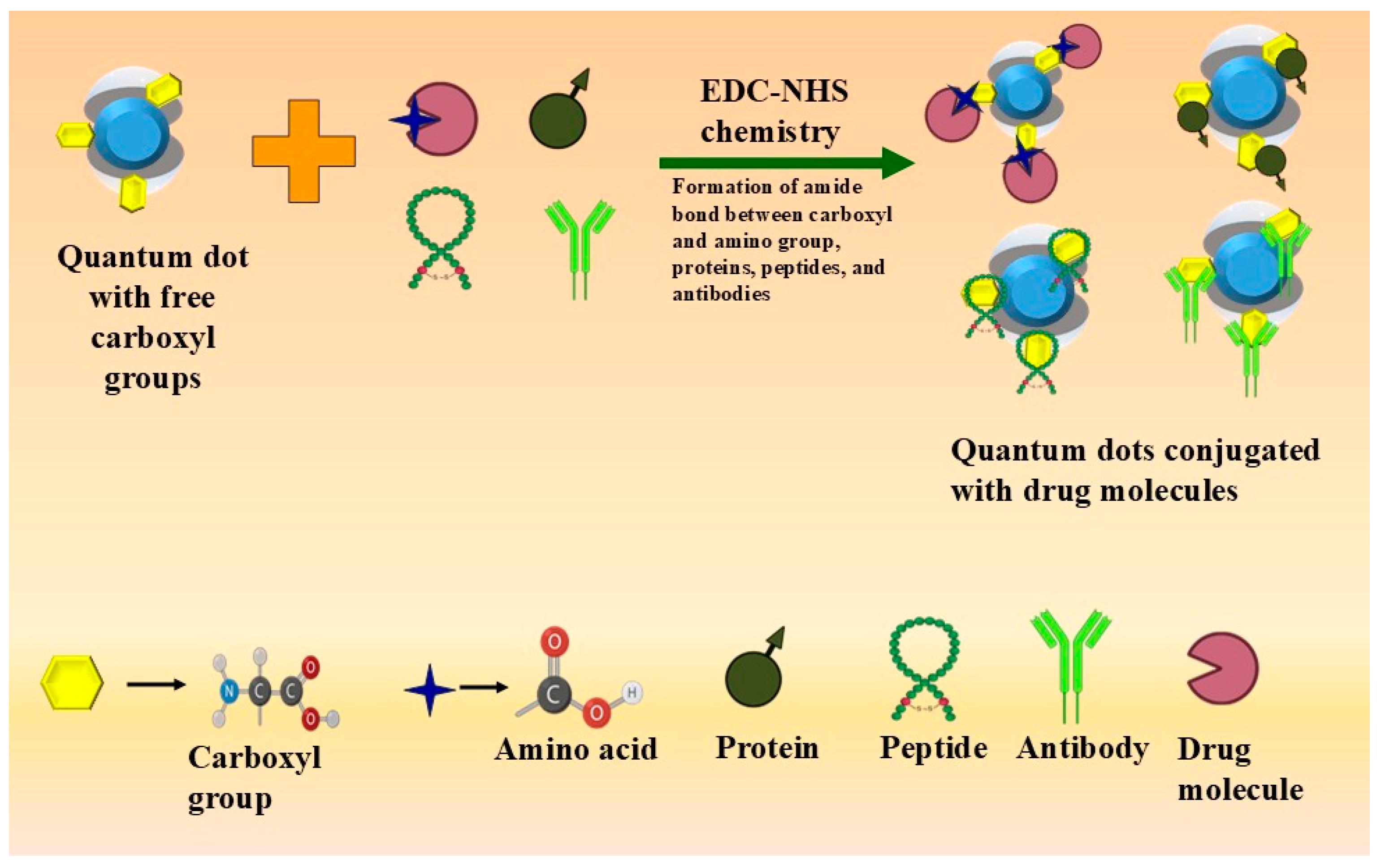 Cancers 17 00878 g002