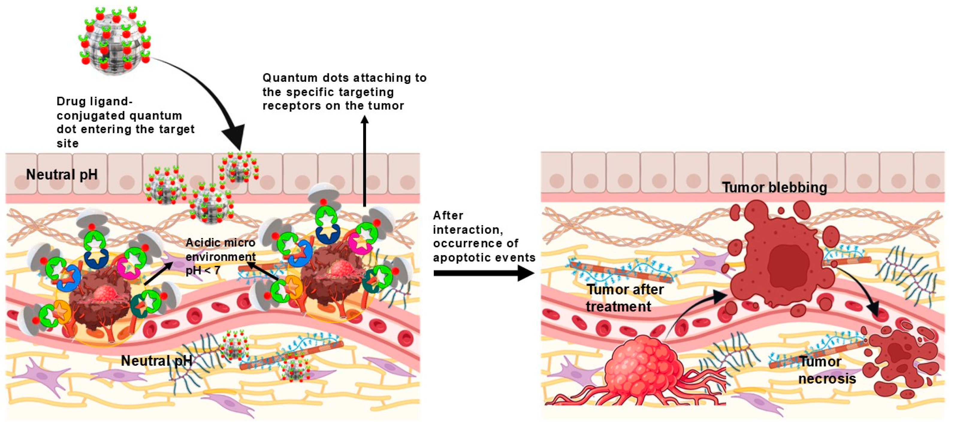 Cancers 17 00878 g004