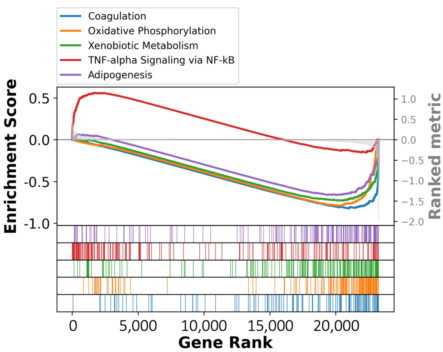 Cancers 17 00890 g001