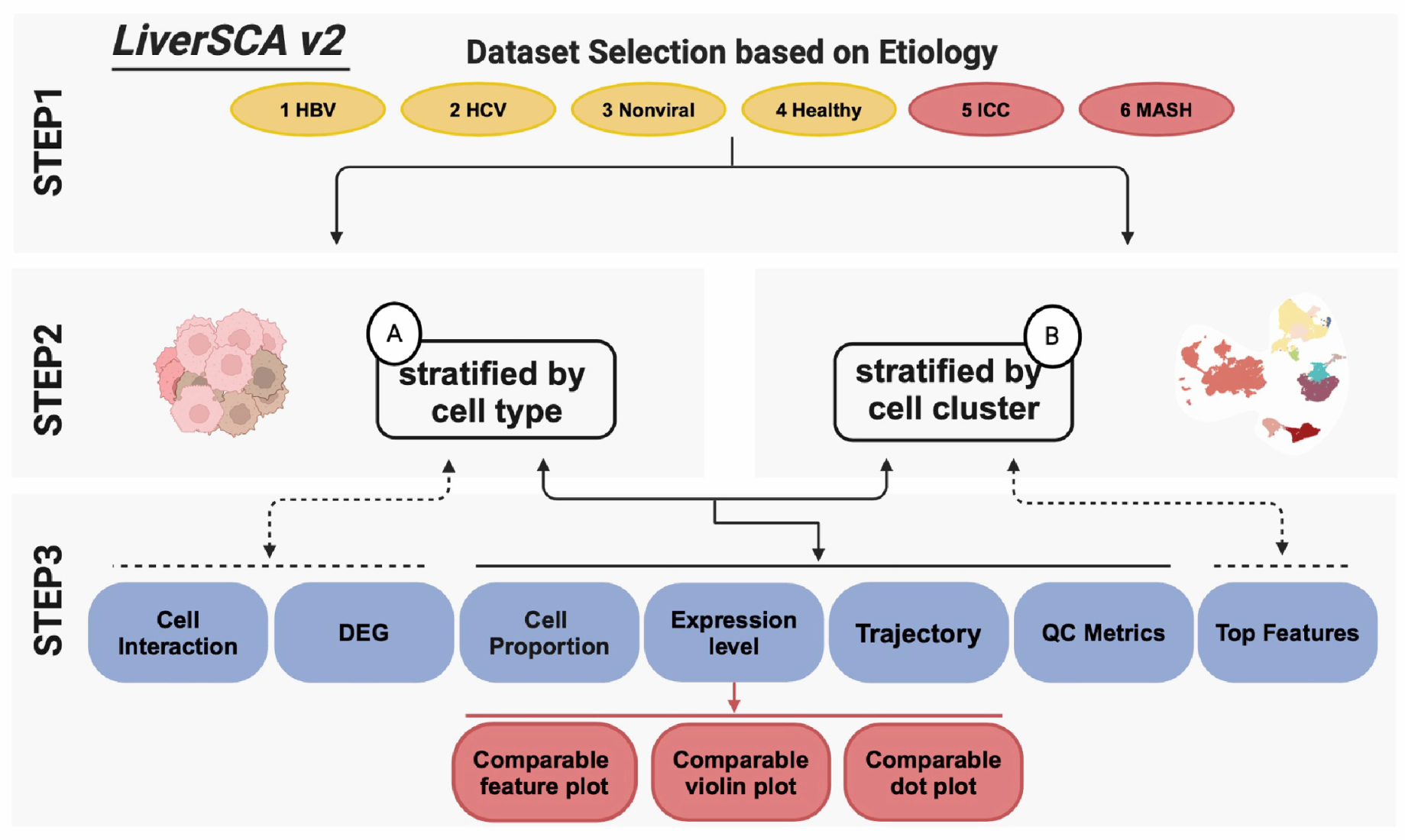 Cancers 17 00890 g003