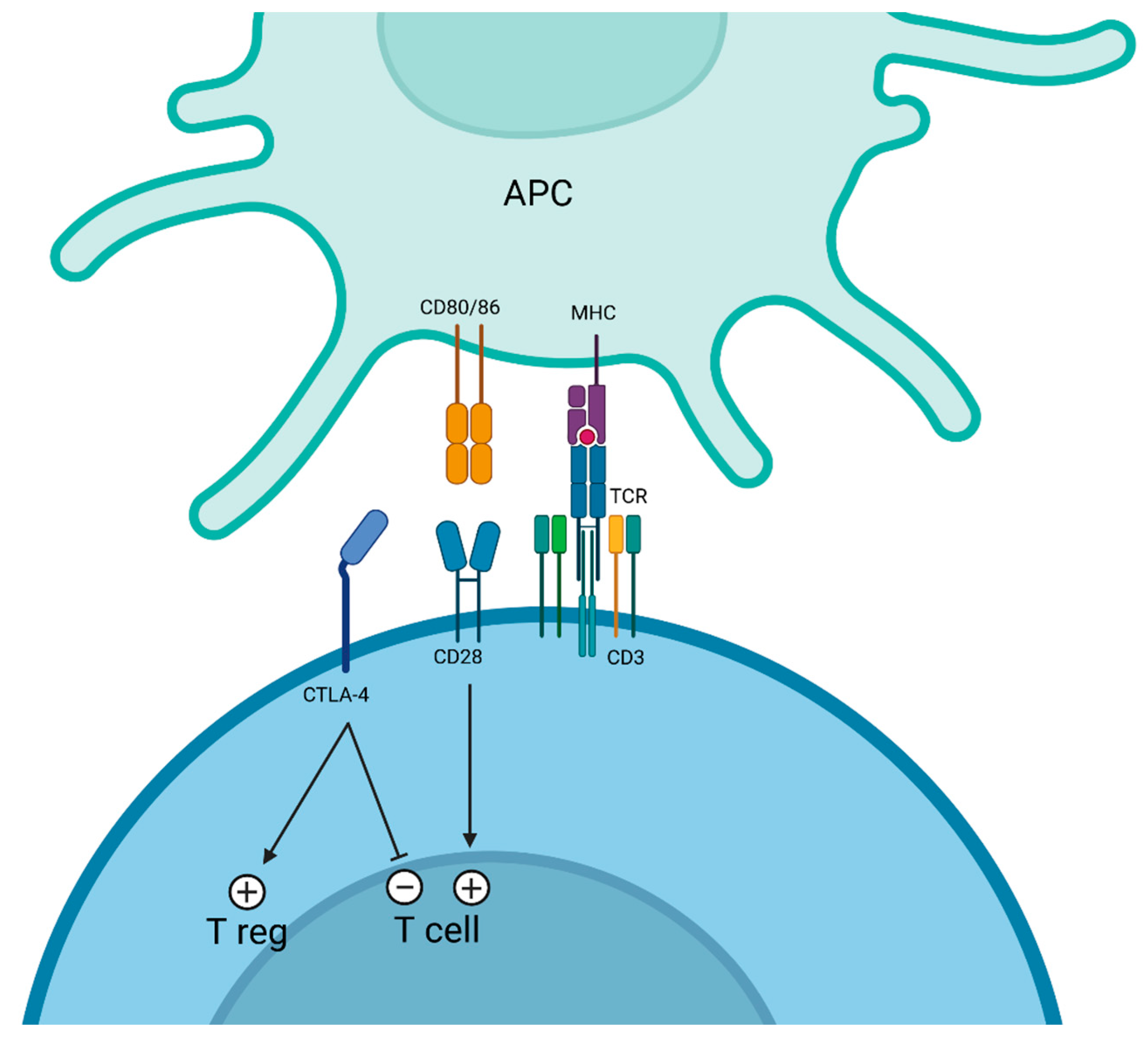 Cancers 17 00906 g001