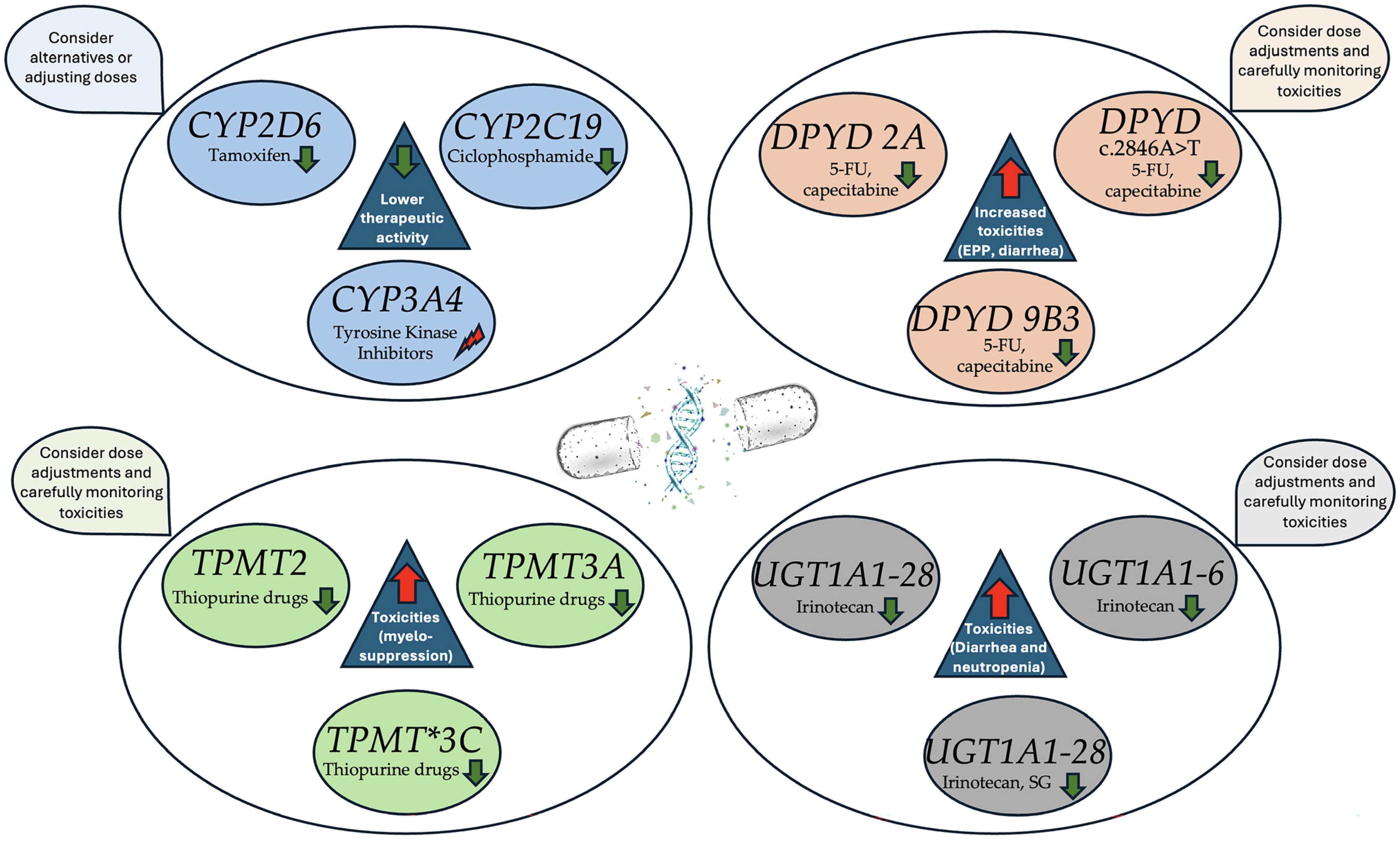 Cancers 17 00913 g002