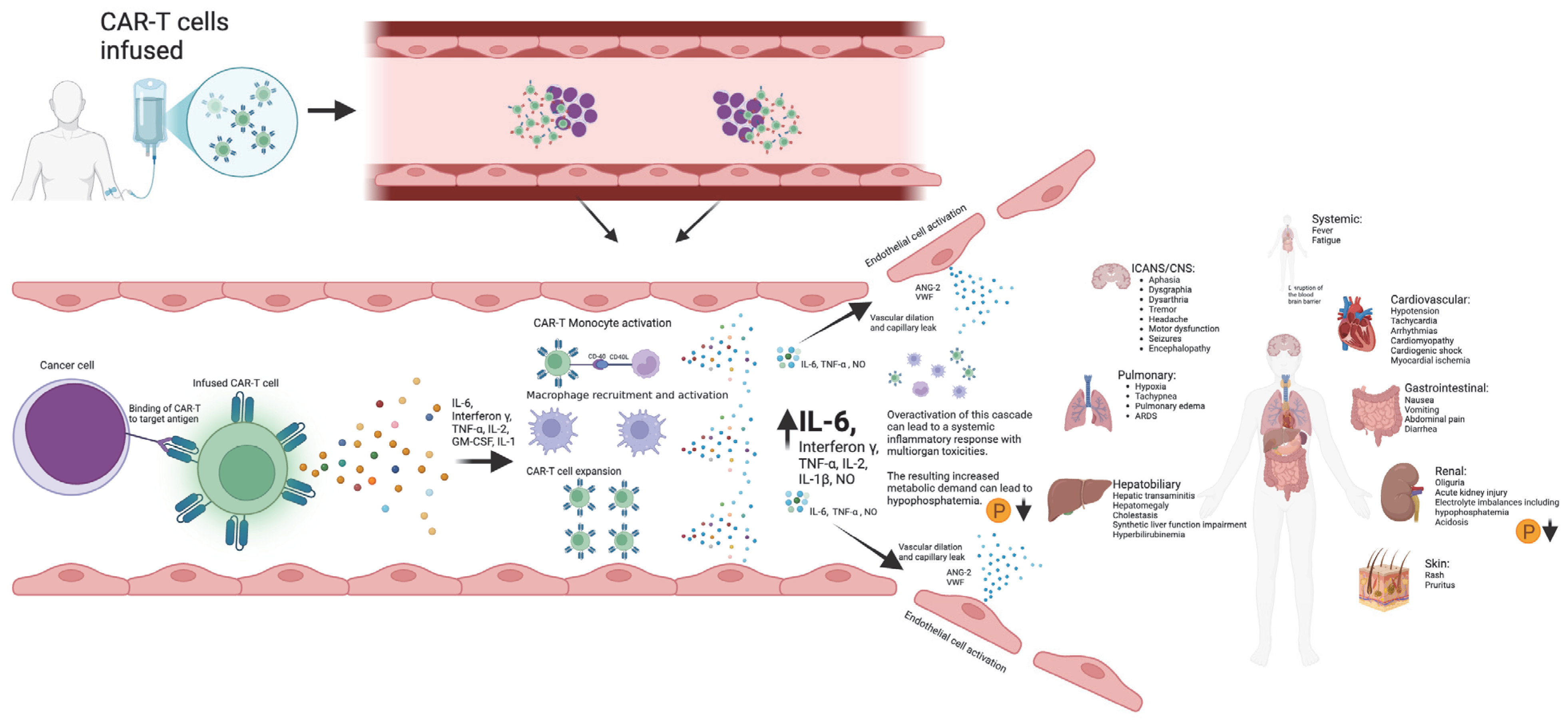 Cancers 17 00918 g004