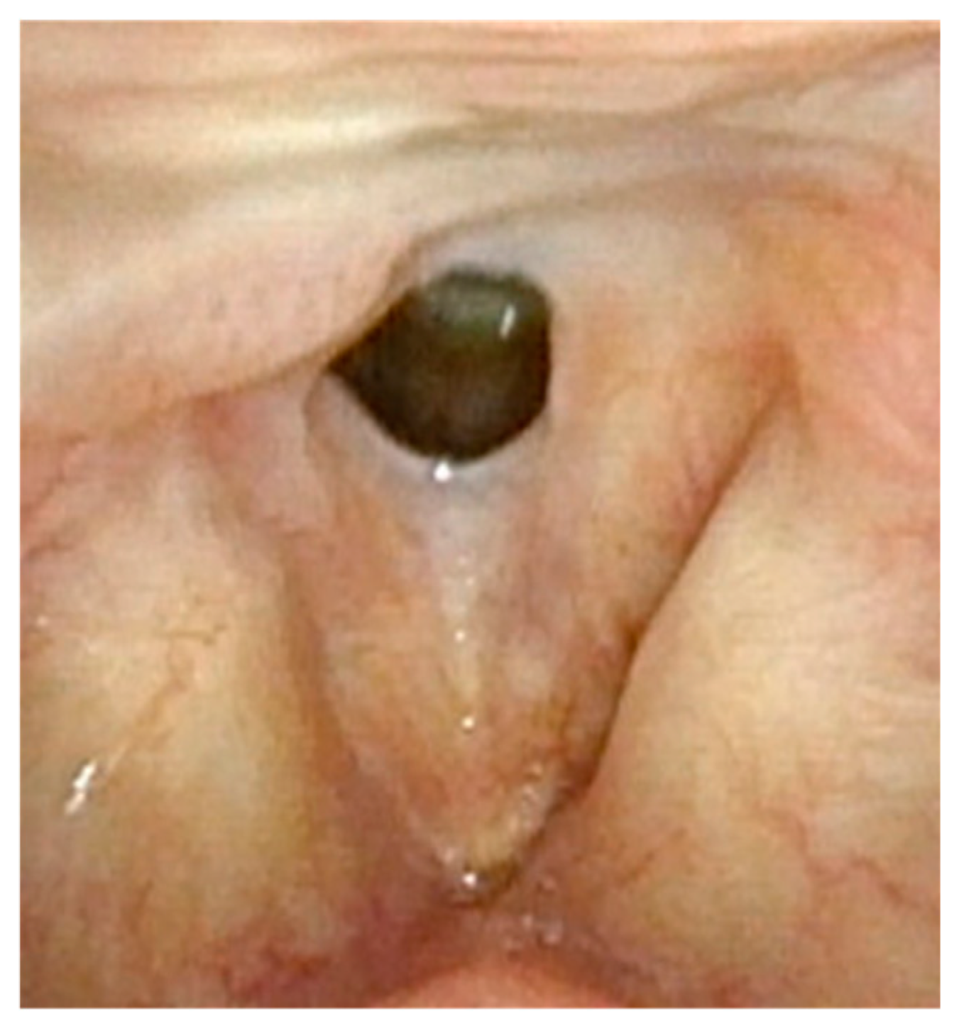 Cancers 17 00929 g001