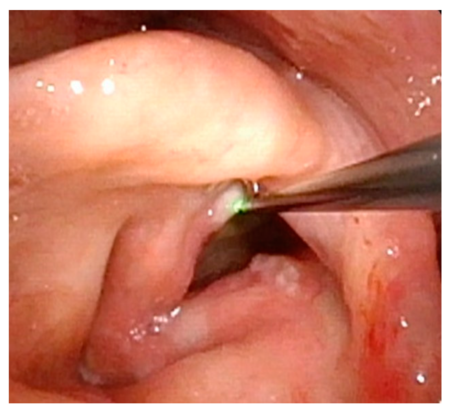 Cancers 17 00929 g007