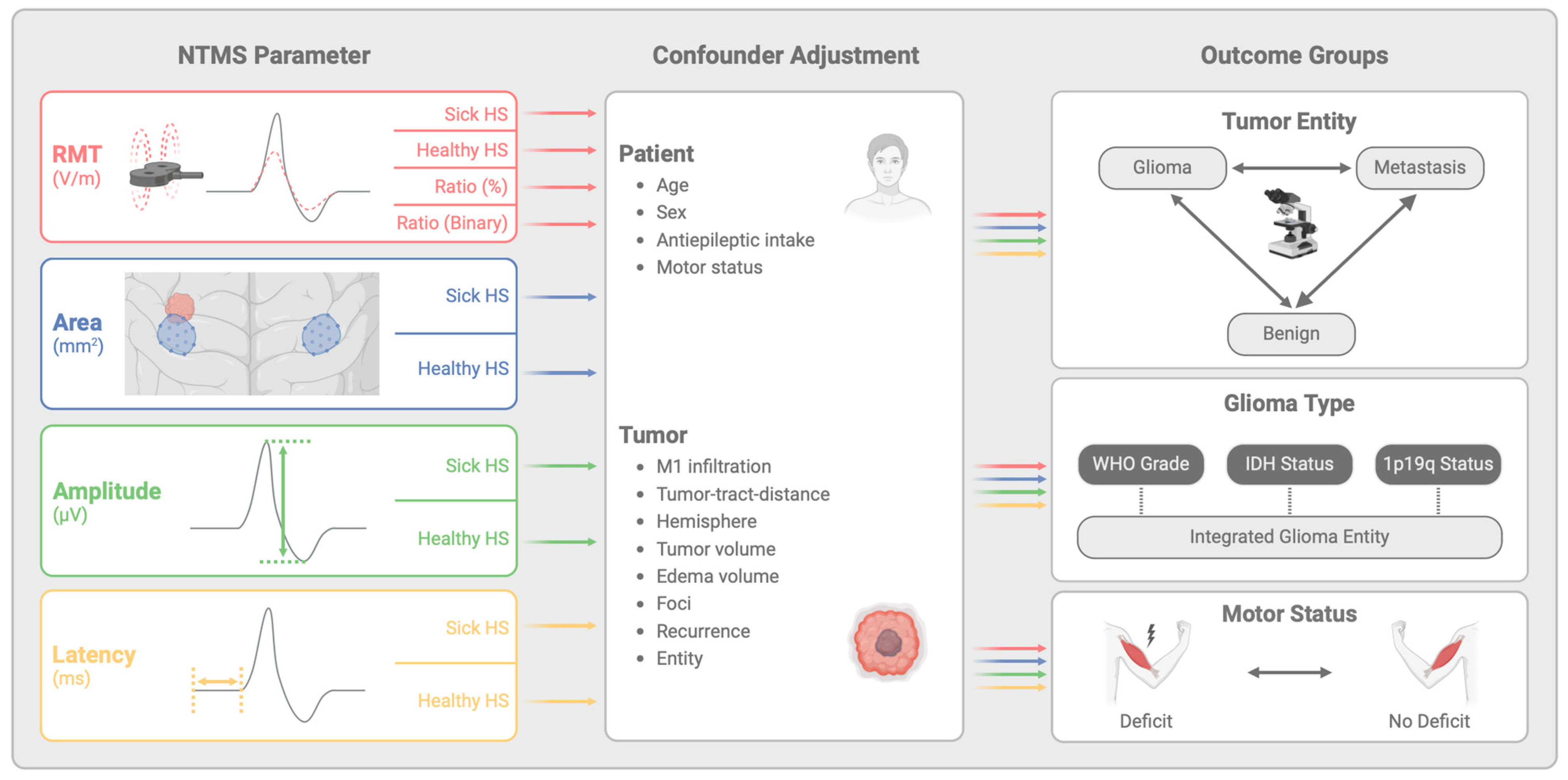 Cancers 17 00935 g002