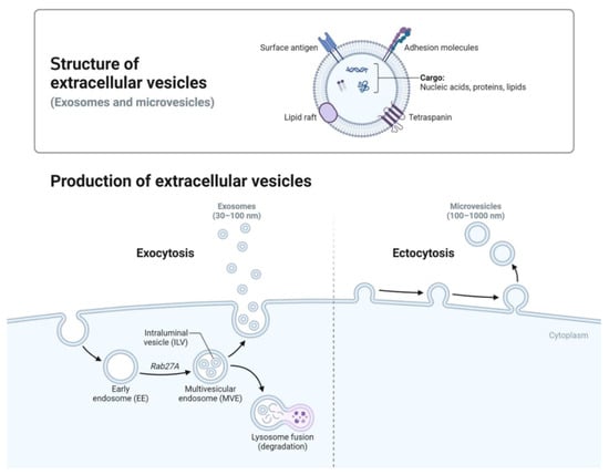 Cancers 17 00940 g001
