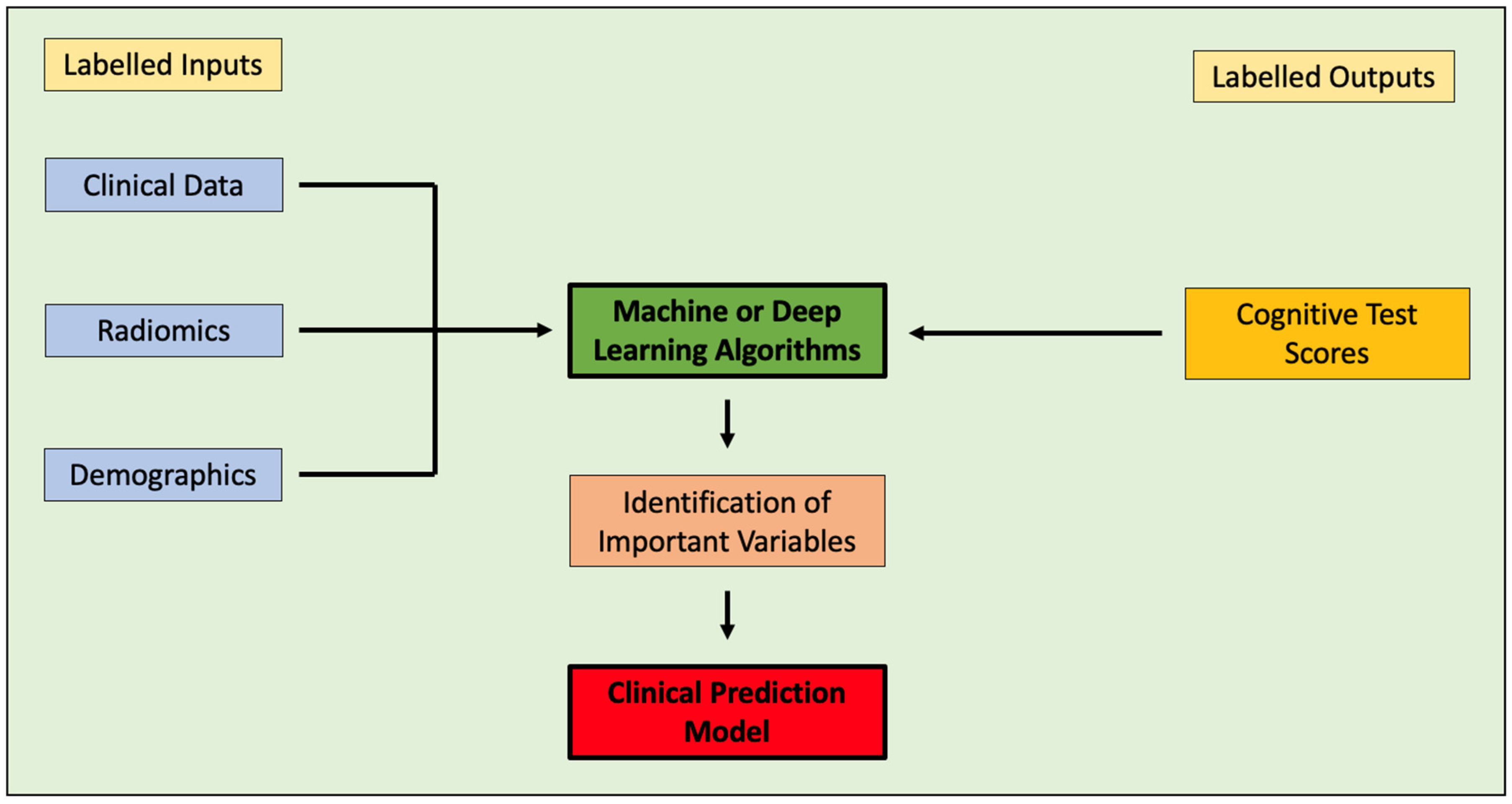Cancers 17 00947 g007
