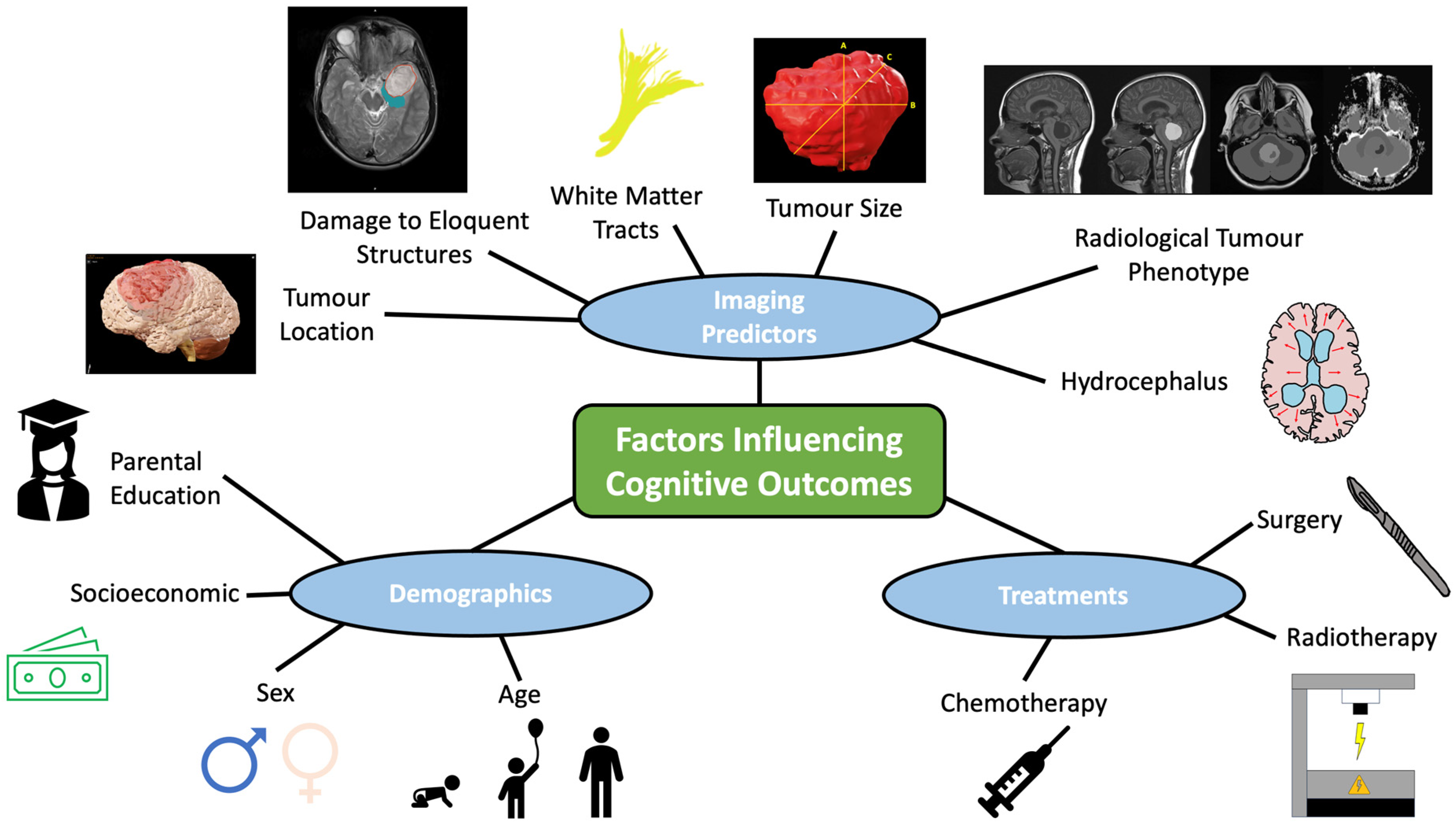 Cancers 17 00947 g008