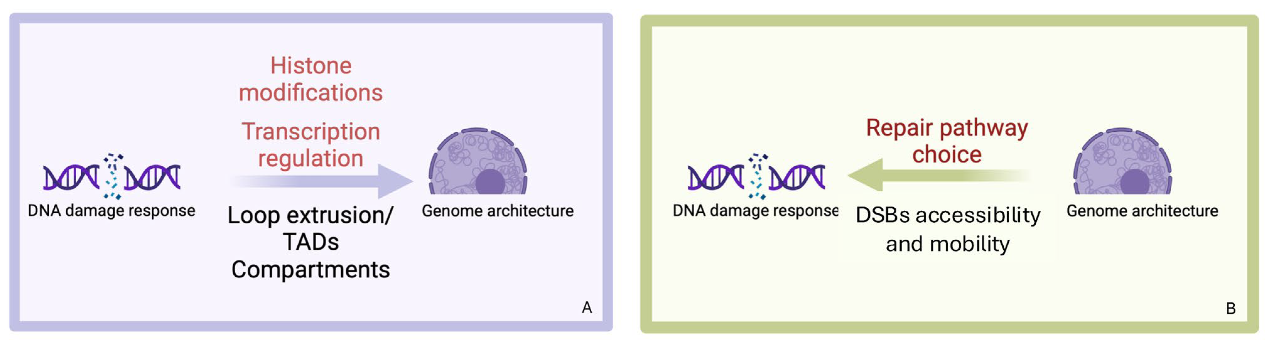 Cancers 17 00949 g002
