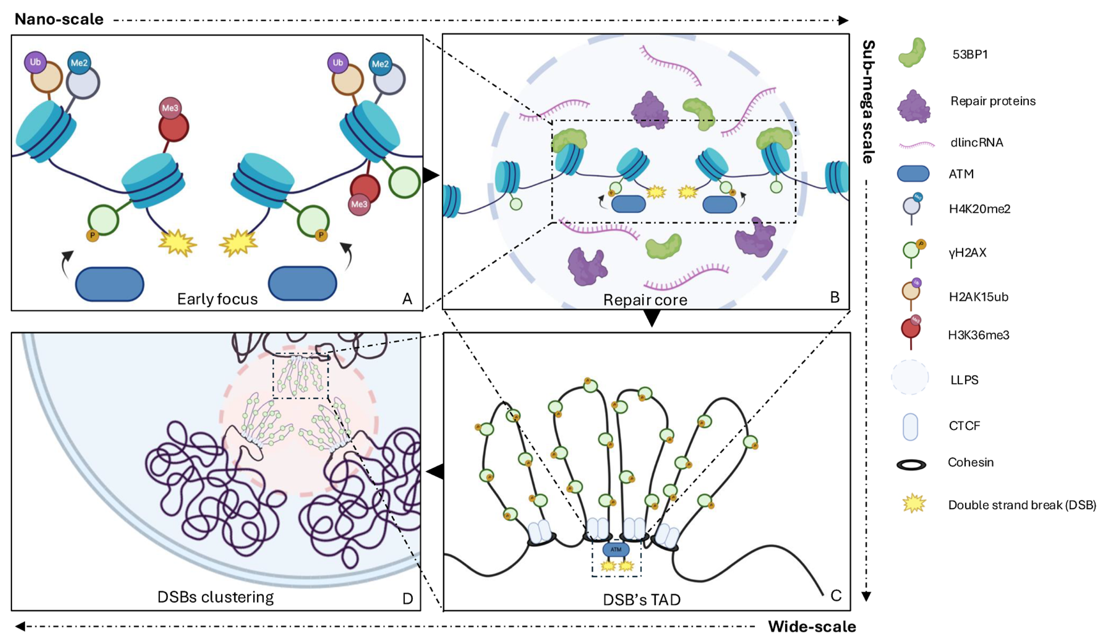 Cancers 17 00949 g003