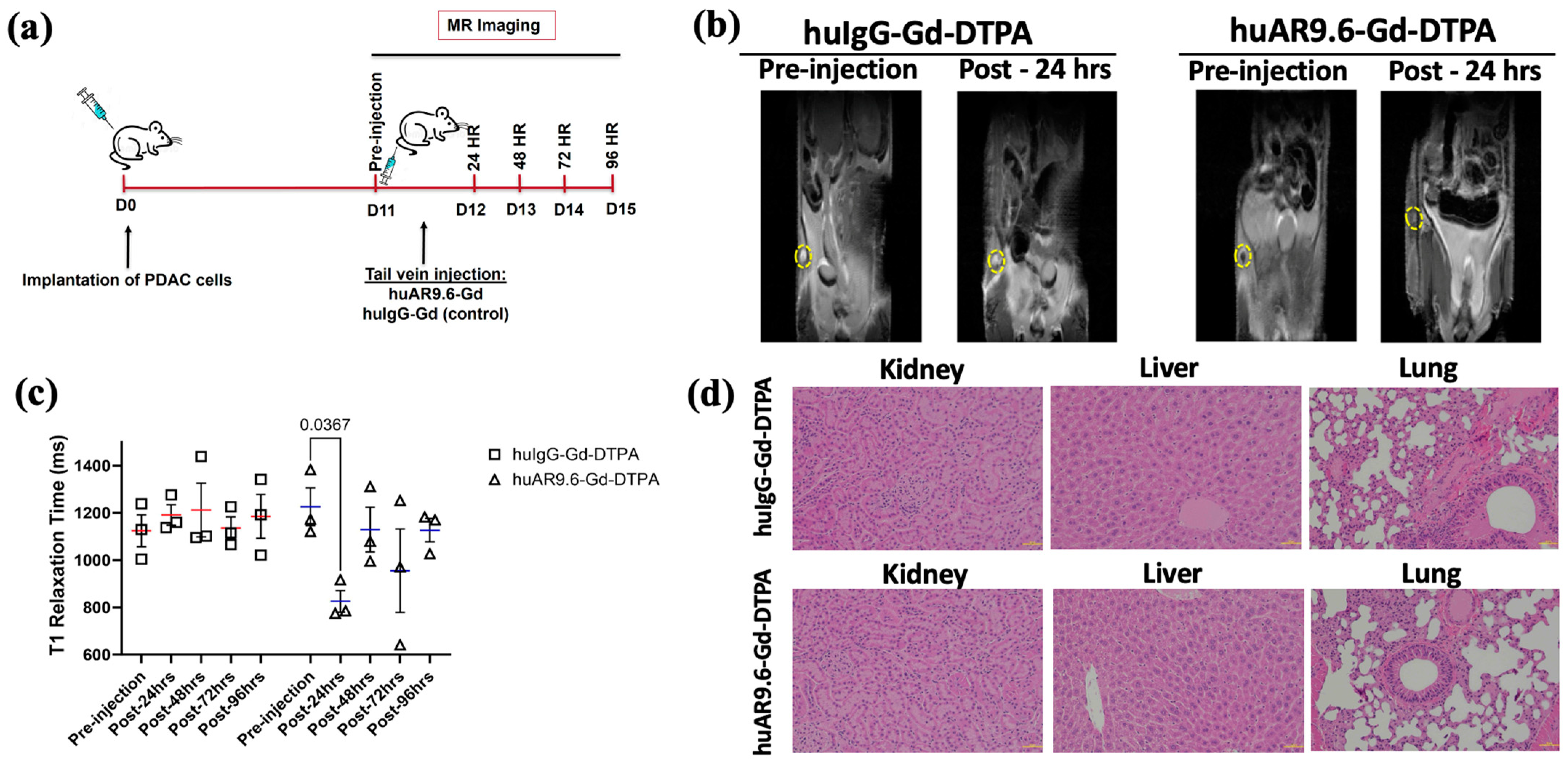 Cancers 17 00957 g003