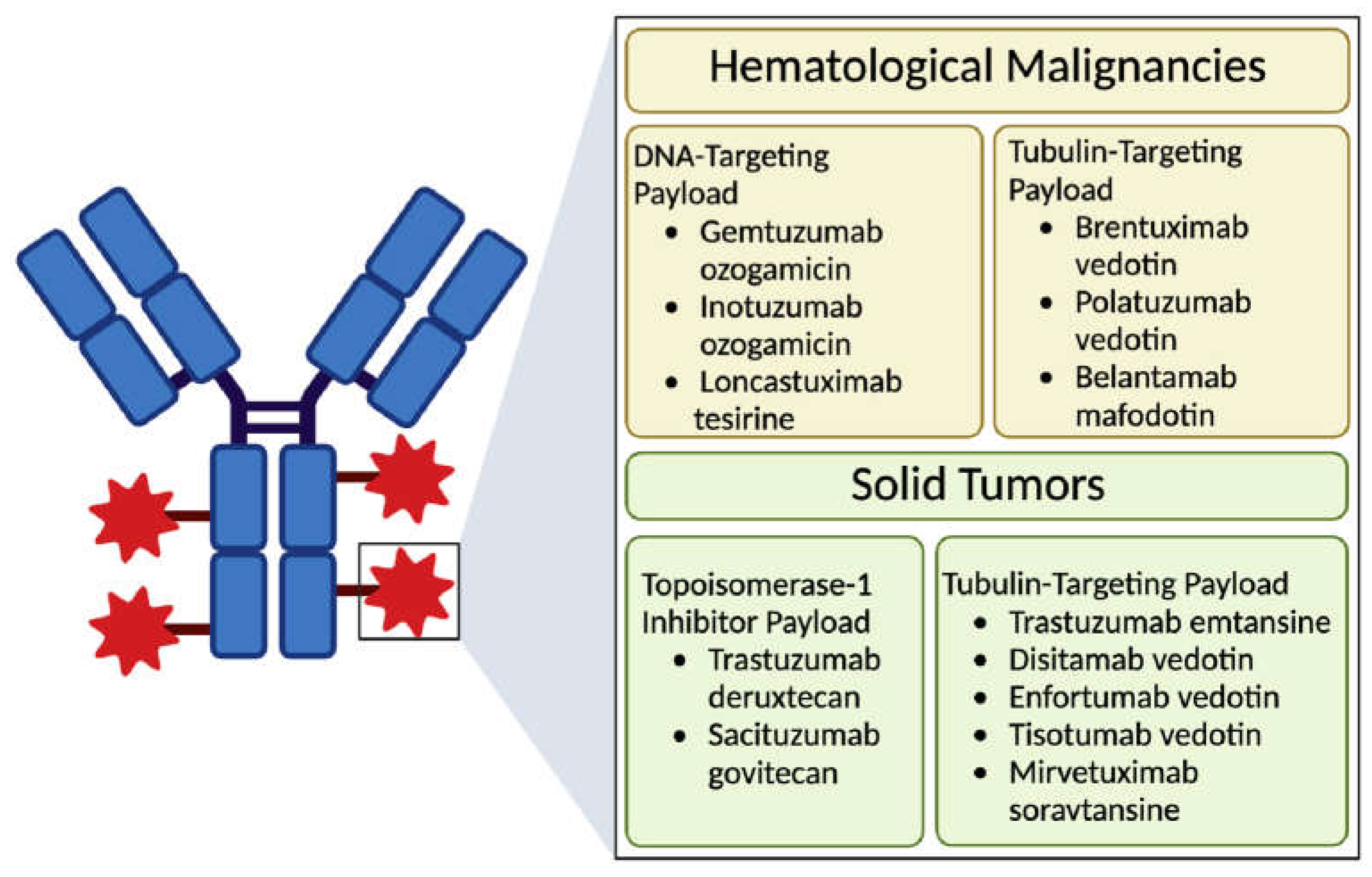 Cancers 17 00958 g002