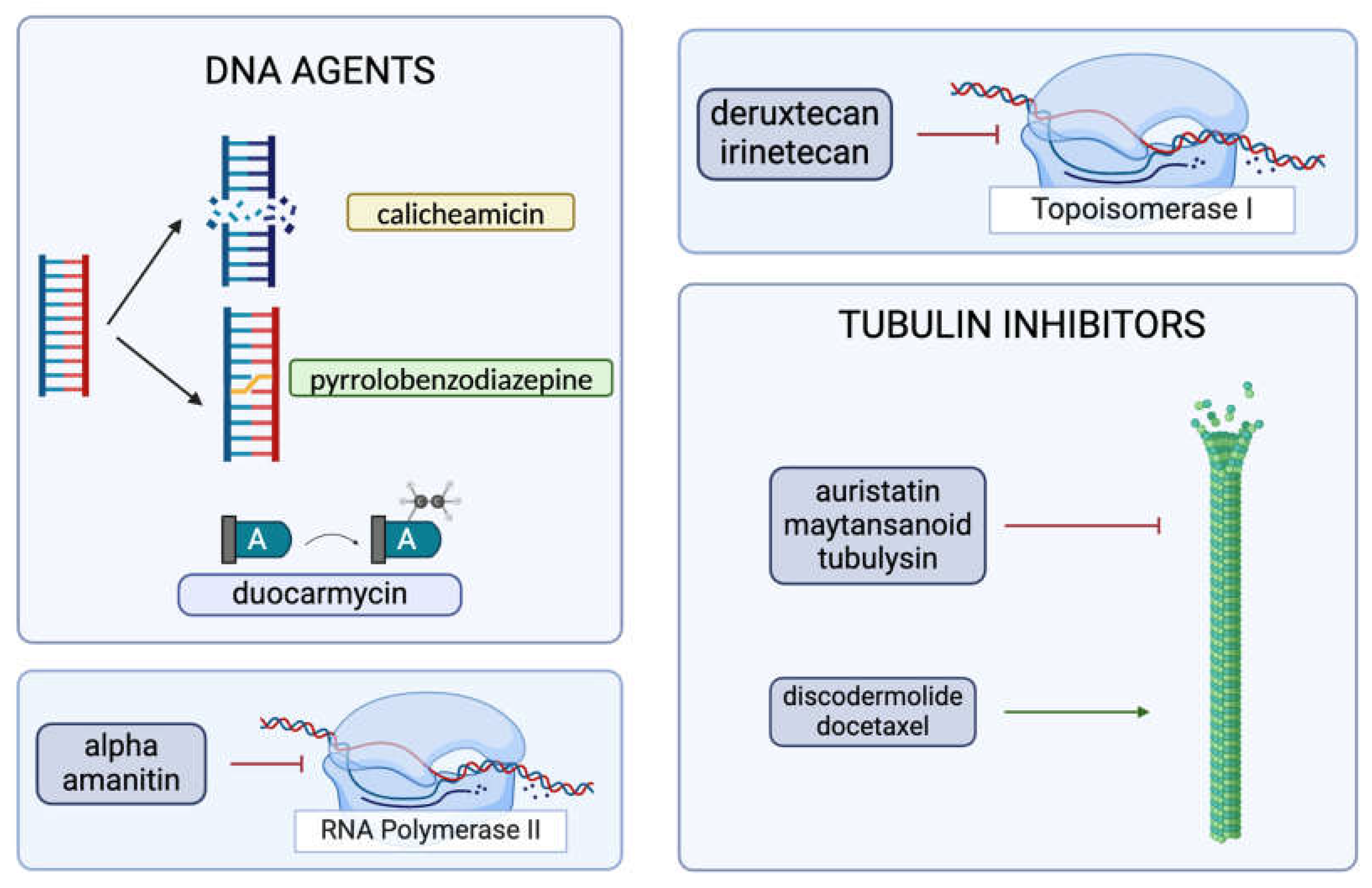 Cancers 17 00958 g003