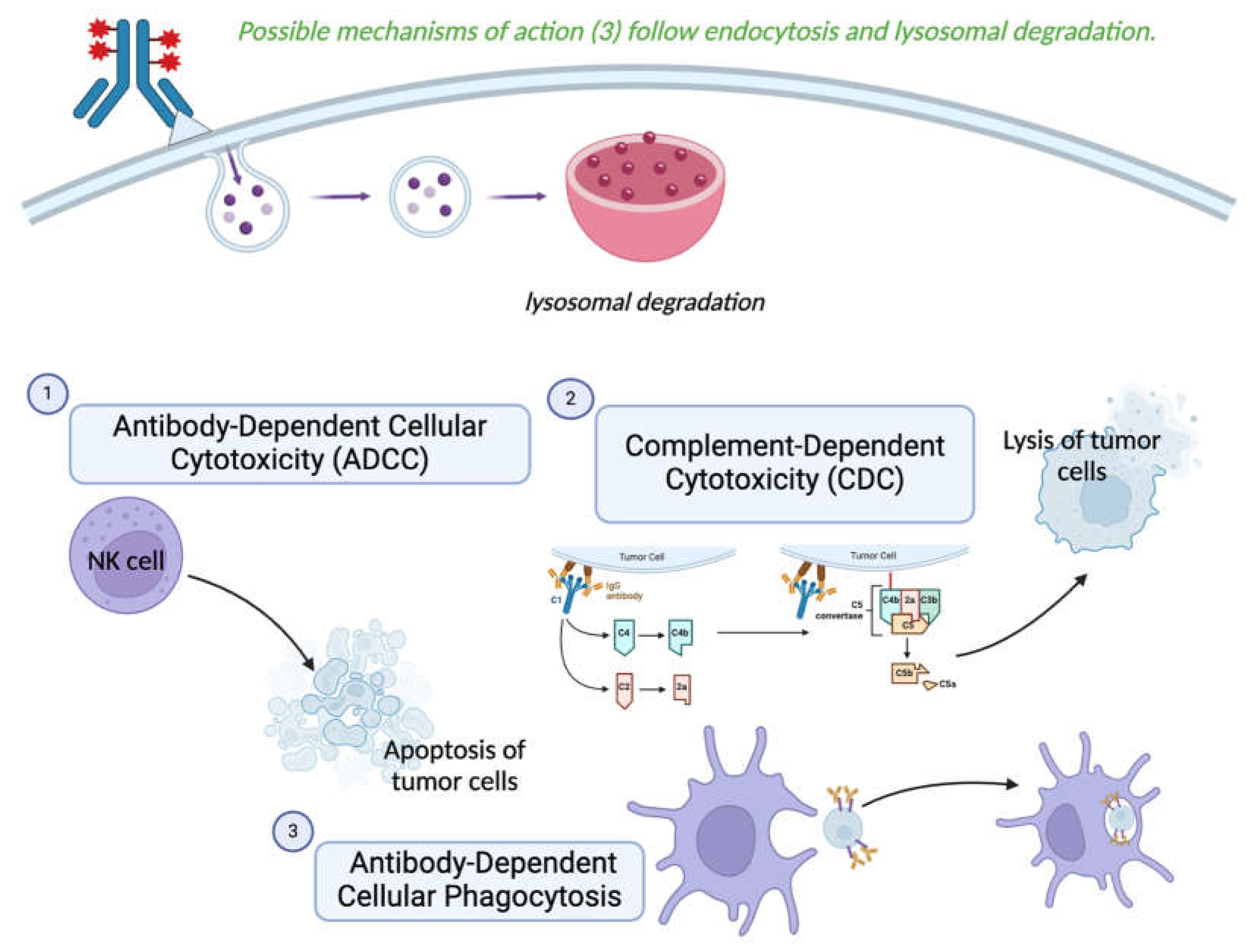Cancers 17 00958 g004